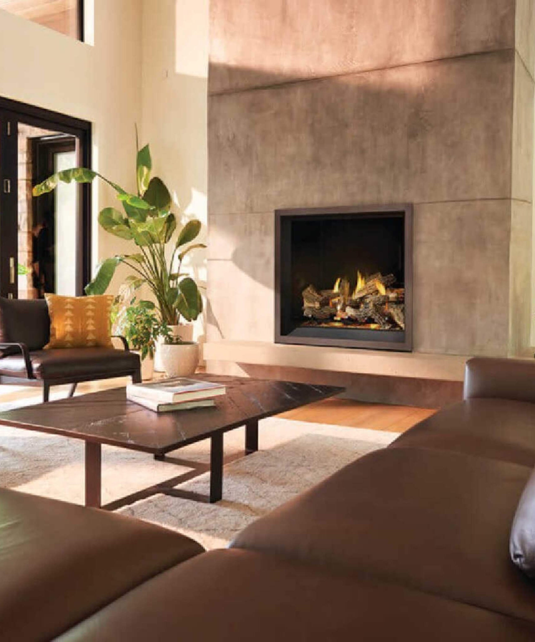 Napoleon Elevation X 42 44-Inch Direct Vent Electronic Ignition Propane Gas Fireplace [EX42N/PTEL] (SAK83652)
