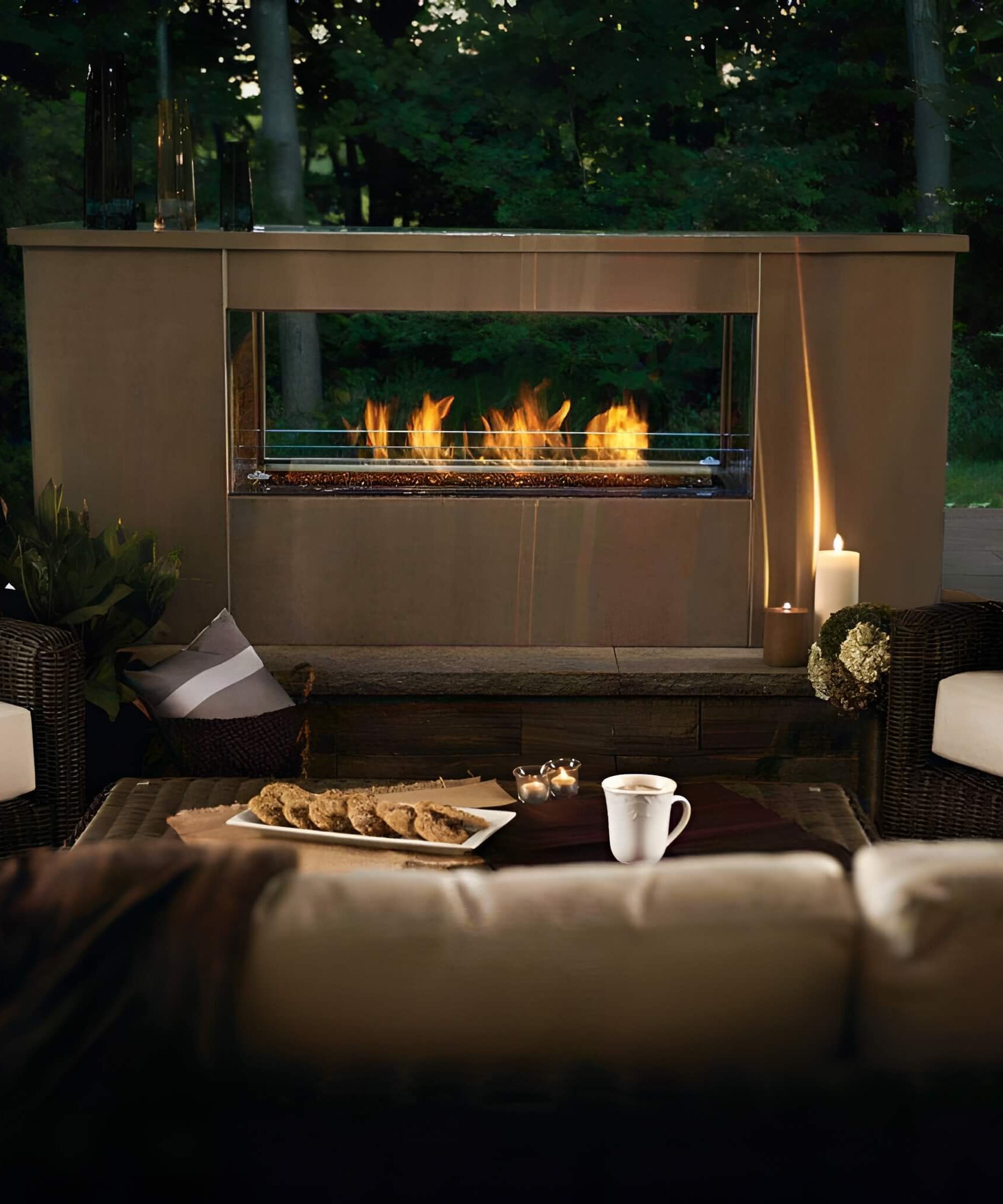 Napoleon Galaxy 48 50-Inch Outdoor Linear See-Thru Electronic Start Natural Gas Fireplace [GSS48STE] (SAK67432)