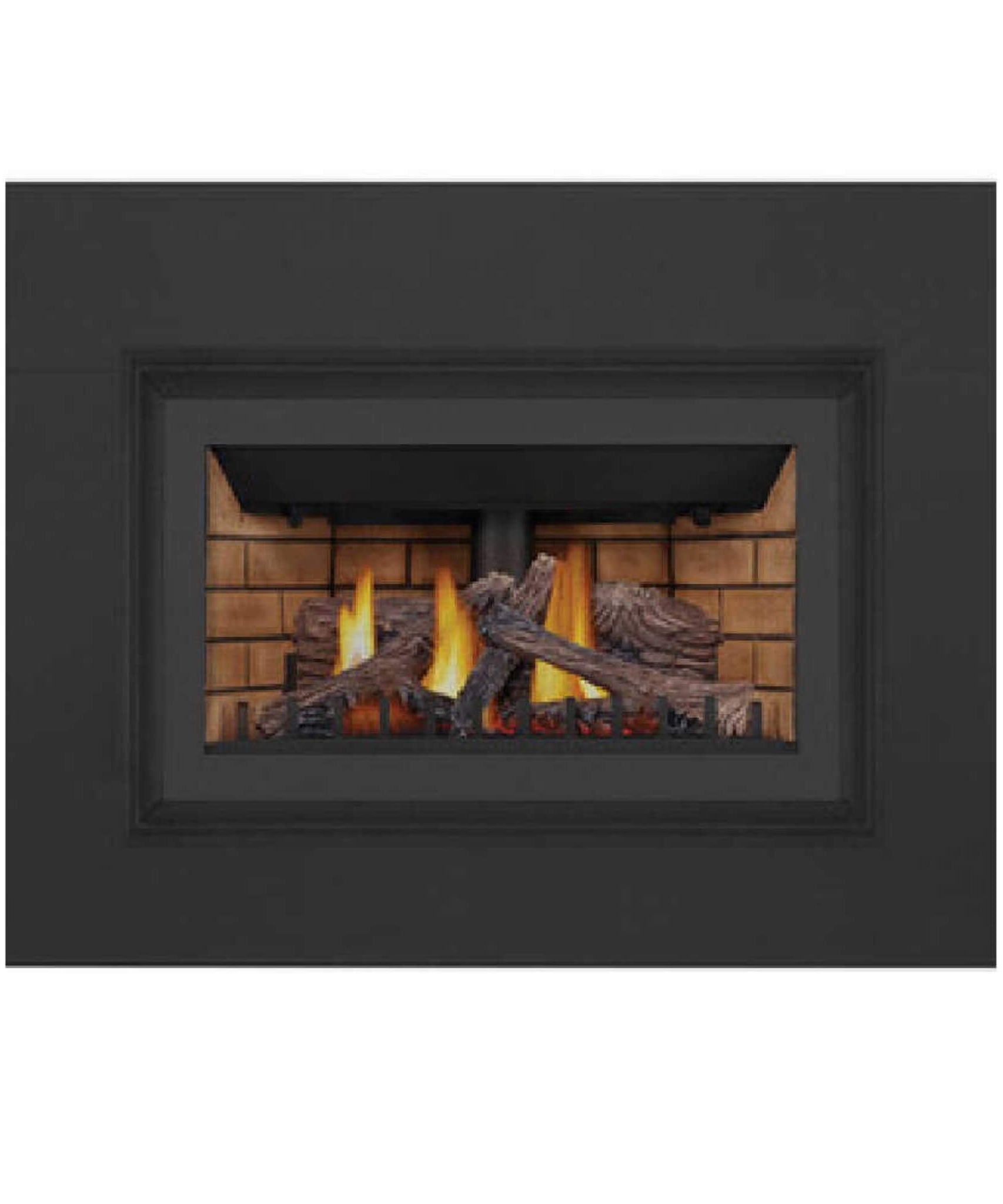 Napoleon Inspiration ZC 36-Inch Direct Vent Millivolt Ignition Natural Gas Fireplace Insert [GDIZC-NSB] (SAK58347)