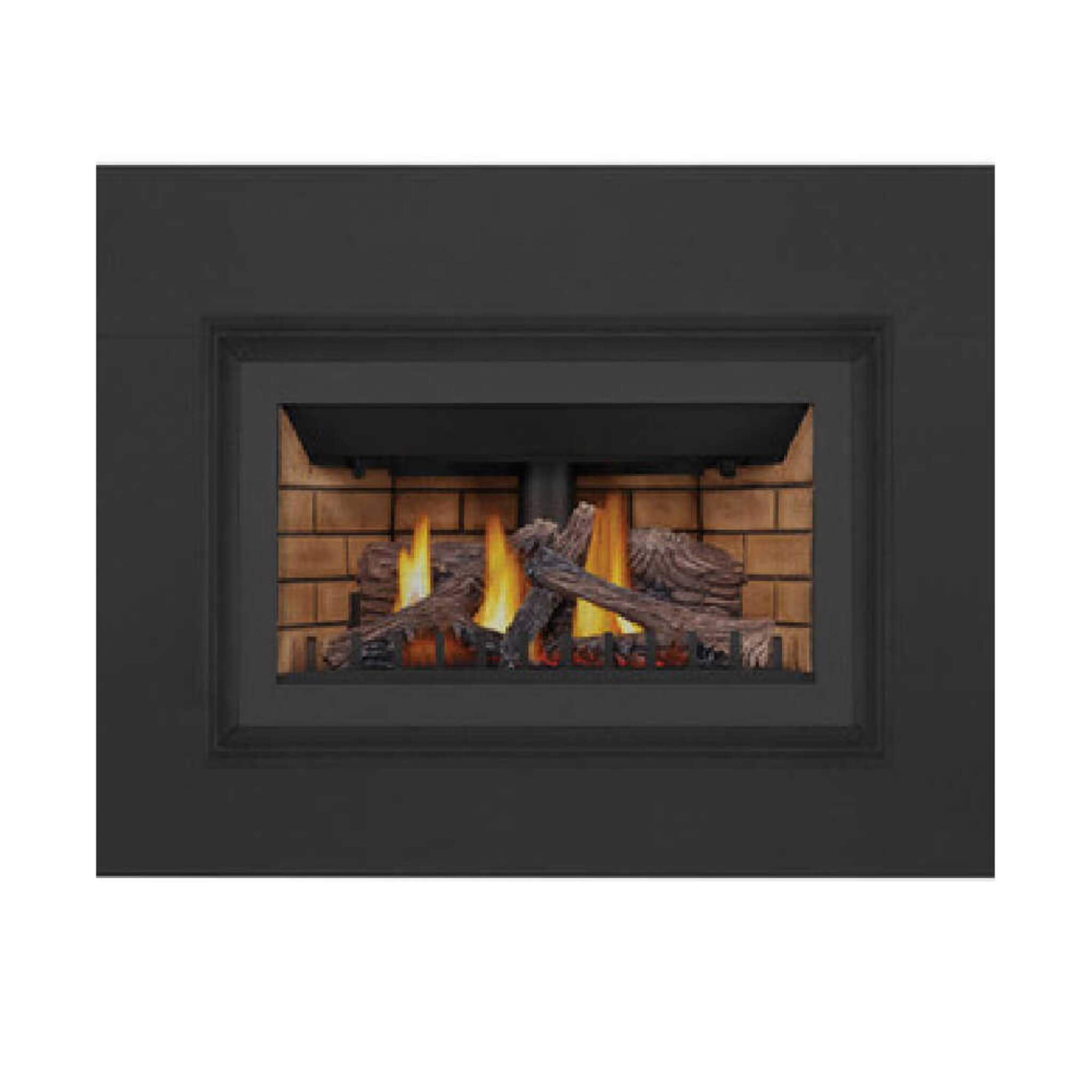 Napoleon Inspiration ZC 36-Inch Direct Vent Millivolt Ignition Natural Gas Fireplace Insert [GDIZC-NSB] (SAK58347)