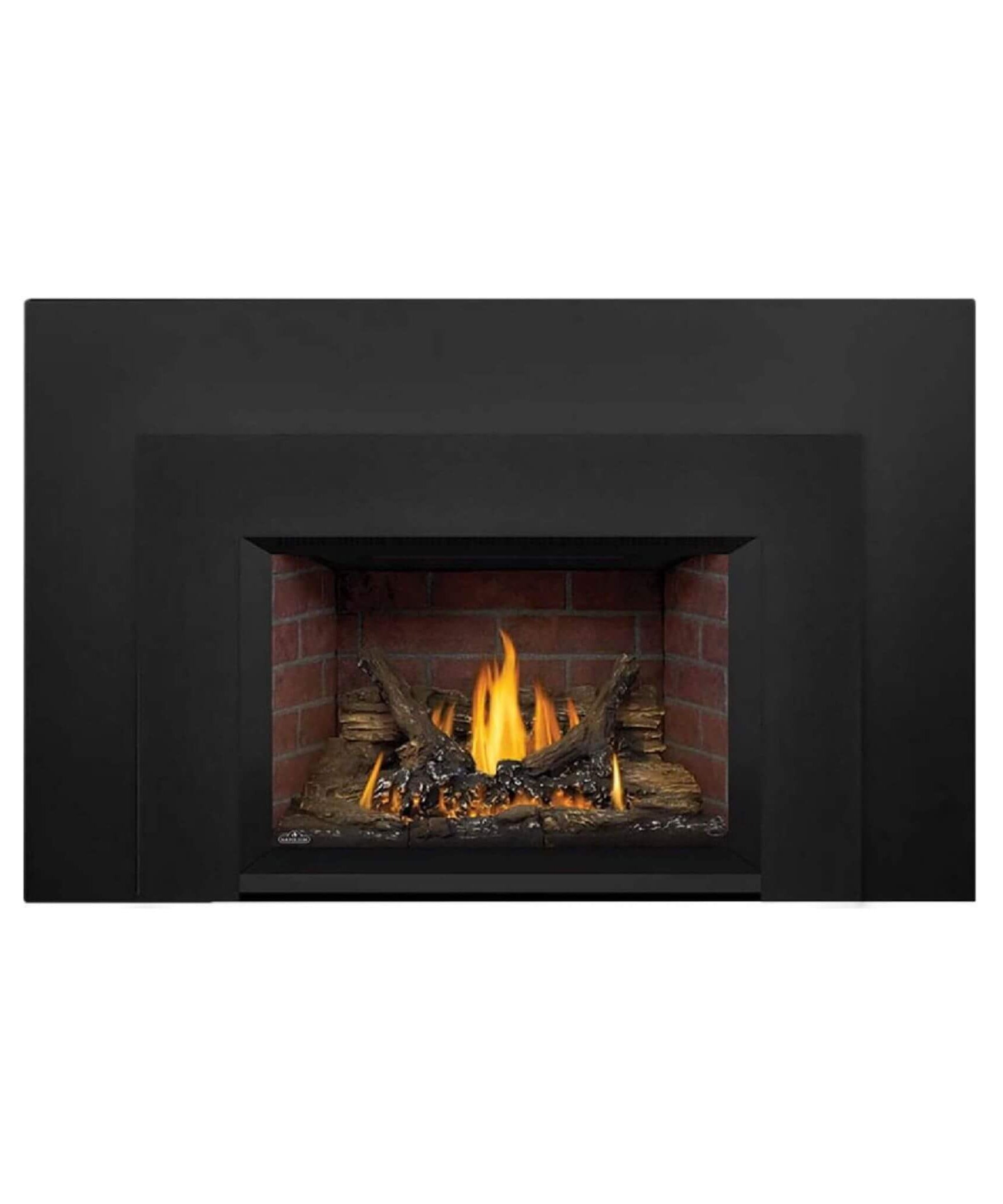 Napoleon Oakville 3 28-Inch Direct Vent Natural Gas Fireplace Insert [GDI3N-1] (SAK25498)