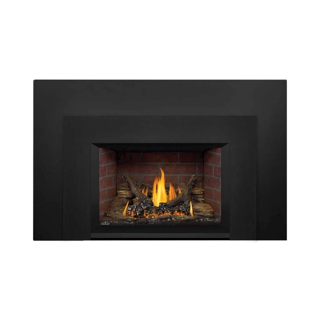 Napoleon Oakville 3 28-Inch Direct Vent Natural Gas Fireplace Insert [GDI3N-1] (SAK25498)
