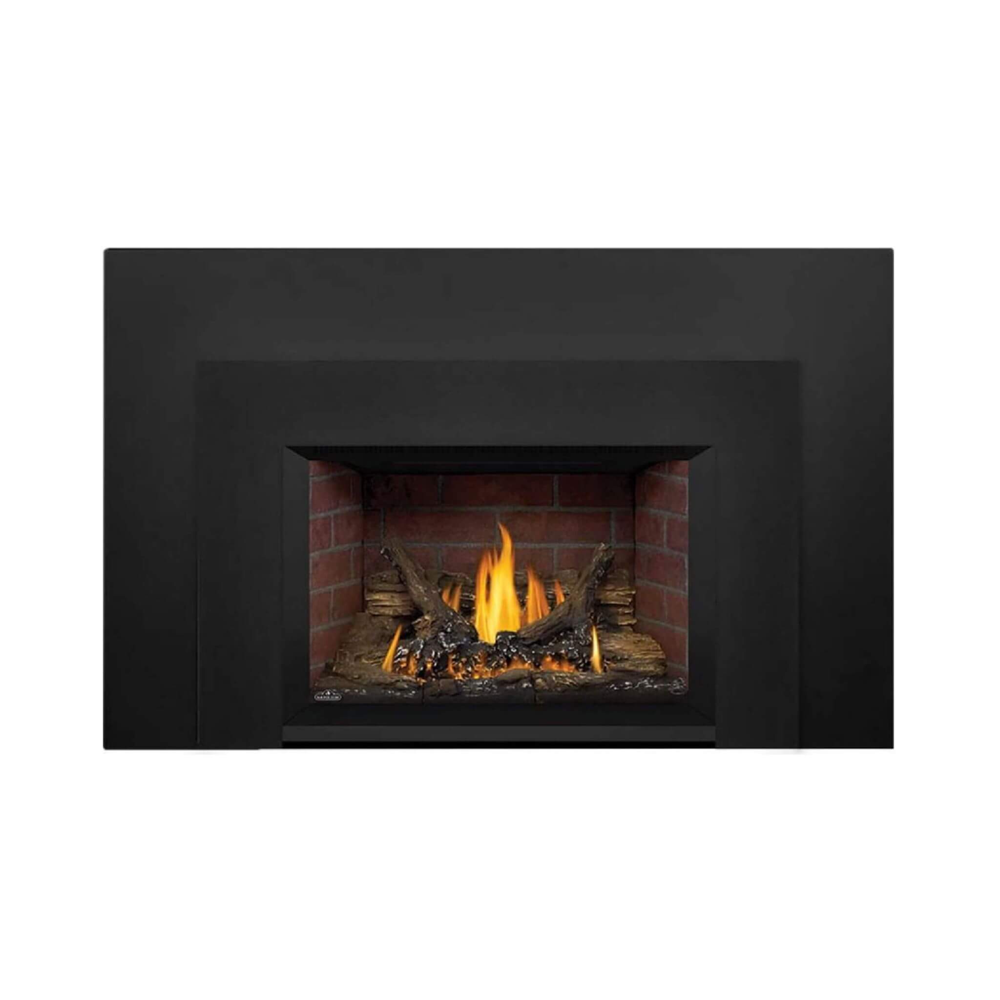 Napoleon Oakville 3 28-Inch Direct Vent Natural Gas Fireplace Insert [GDI3N-1] (SAK25498)