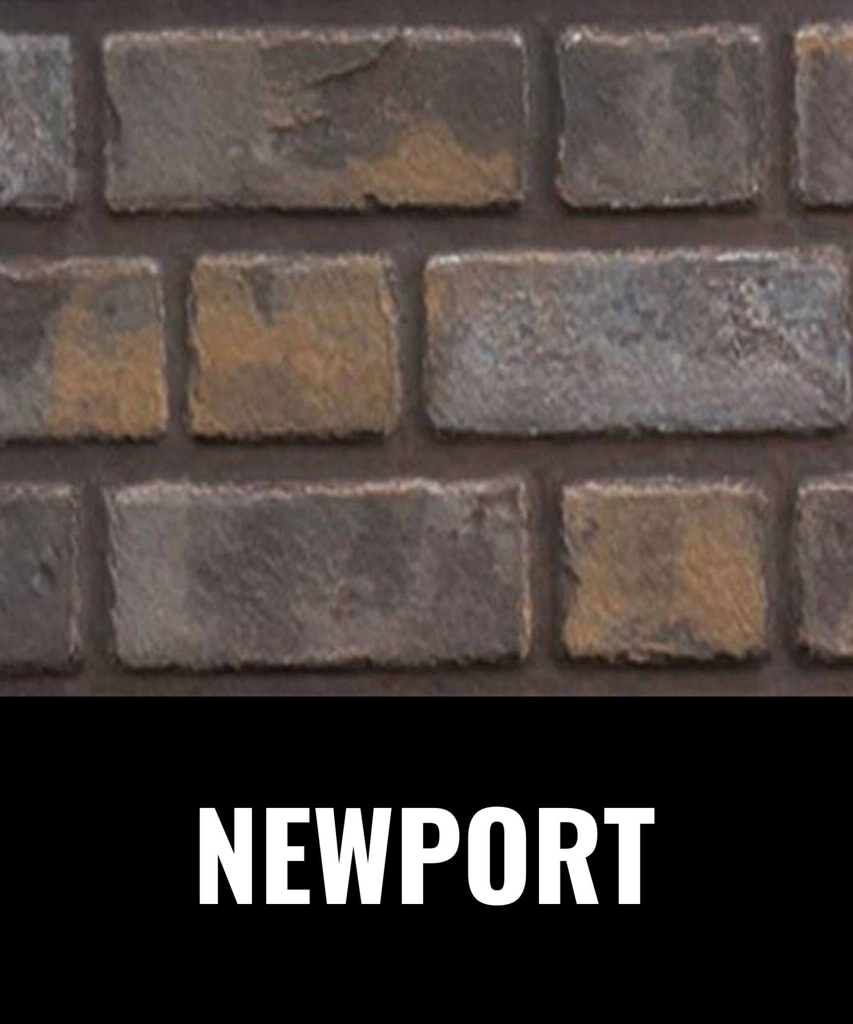 Napoleon Oakville 3 Direct Vent Electronic Ignition Natural Gas Fireplace Insert [GDI3NEA] (SAK82316)