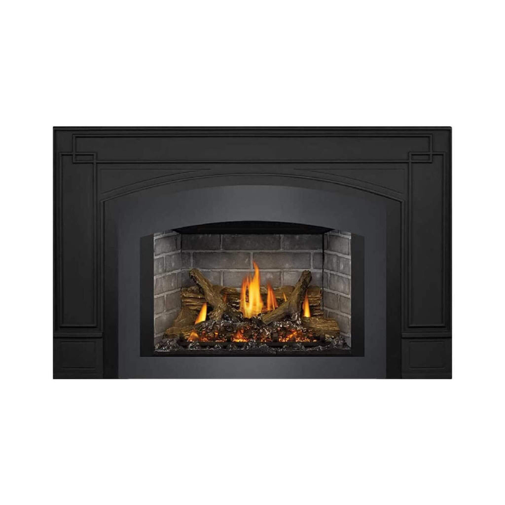 Napoleon Oakville X3/X4 Direct Vent Electronic Ignition Natural Gas Fireplace Insert [GDIX3N/4N-1] (SAK21347)