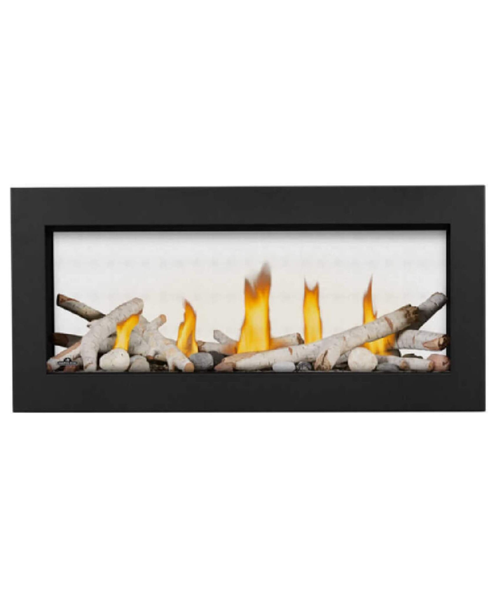 Napoleon Vector 38-Inch See-Through Direct Vent Electronic Ignition Natural Gas Fireplace With eFIRE Bluetooth App [LV38N2-1] (SAK29471)