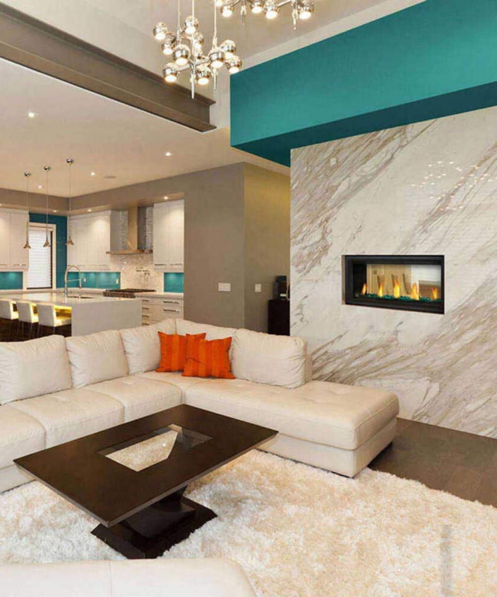 Napoleon Vector 38-Inch See-Through Direct Vent Electronic Ignition Natural Gas Fireplace With eFIRE Bluetooth App [LV38N2-1] (SAK29471)