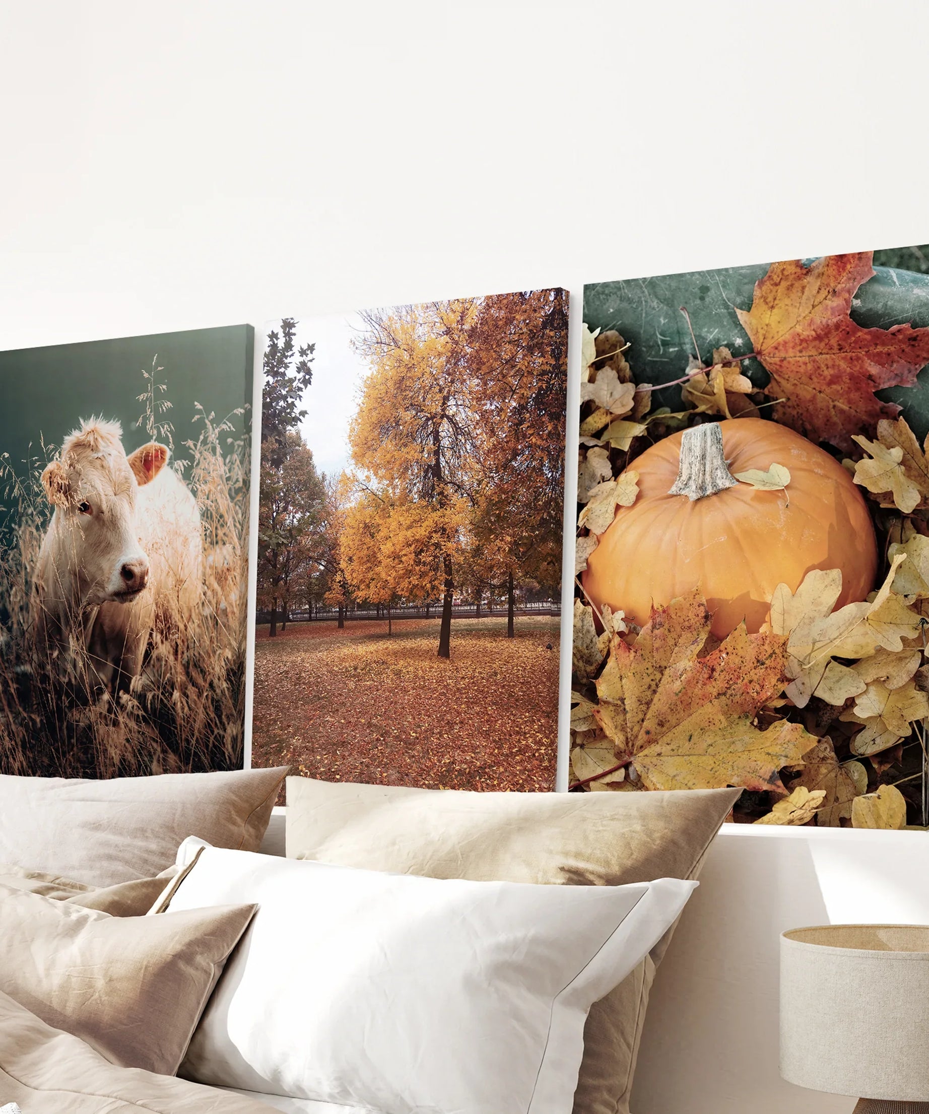 Autumn Farmhouse Prints. Cow, Fall Trees, Pumpkin Decor