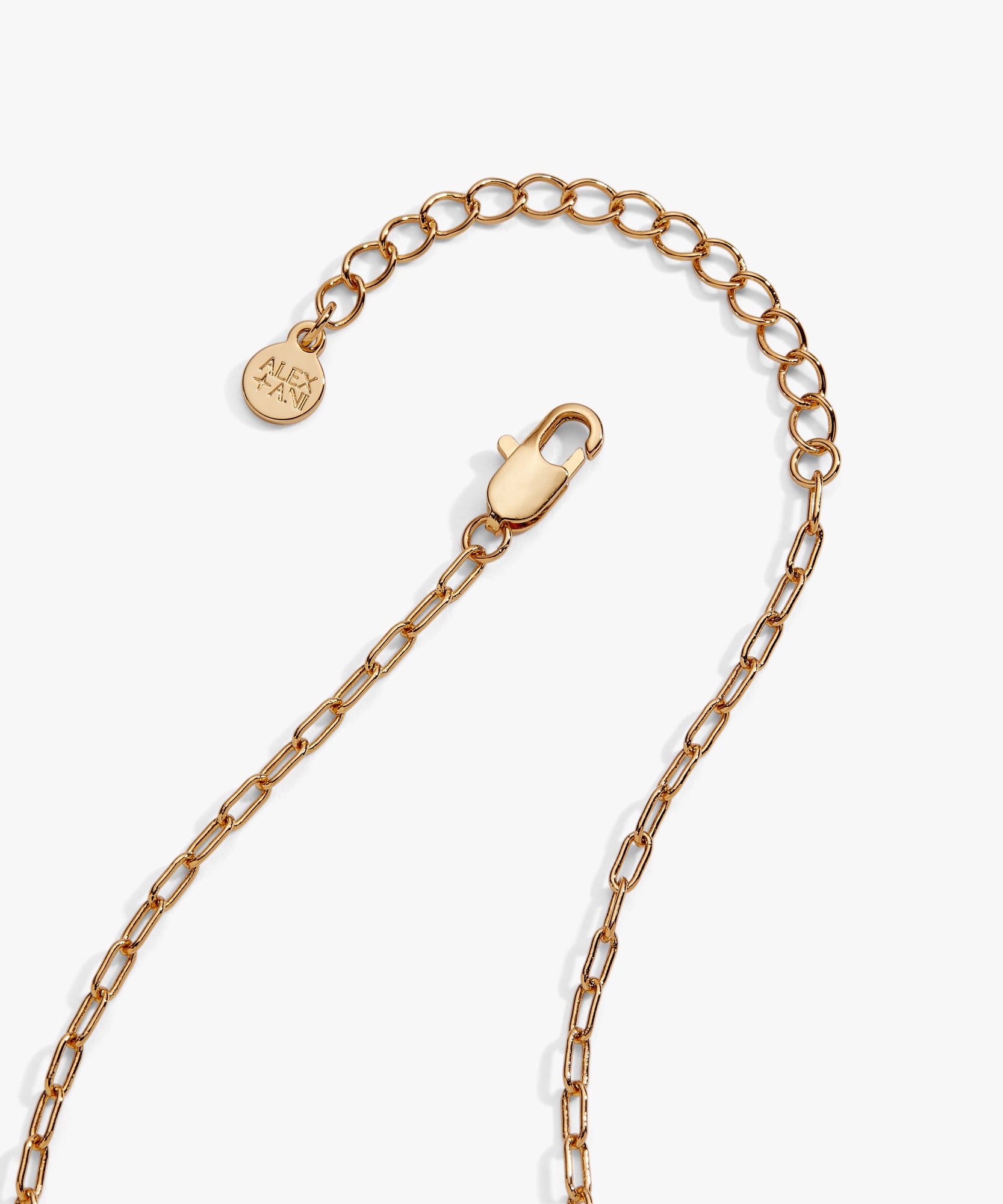 Pasta Girl 'Anything Is Pastable' Ravioli Locket Pendant