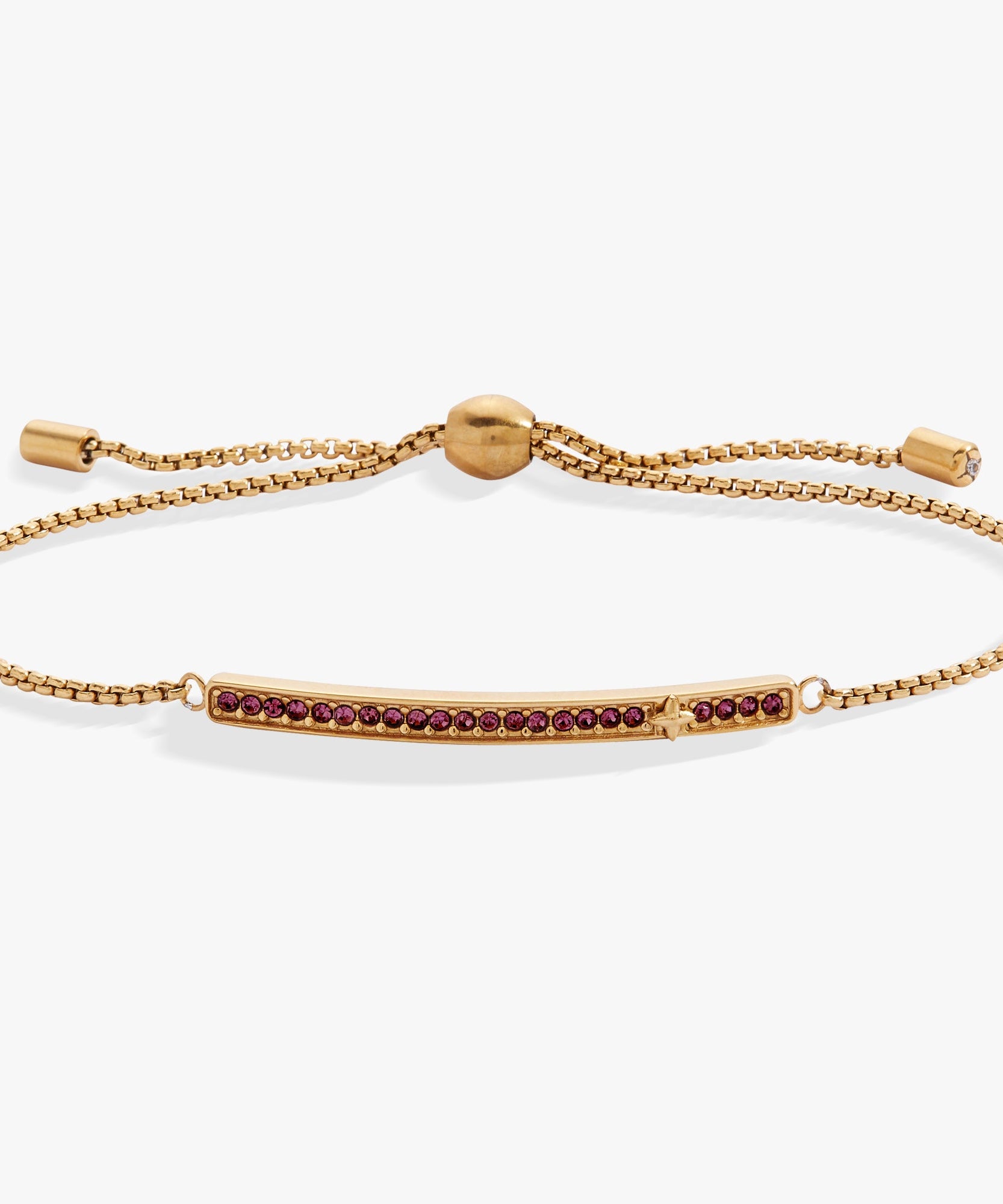February Everyday Birthstone Pave Bolo Bracelet