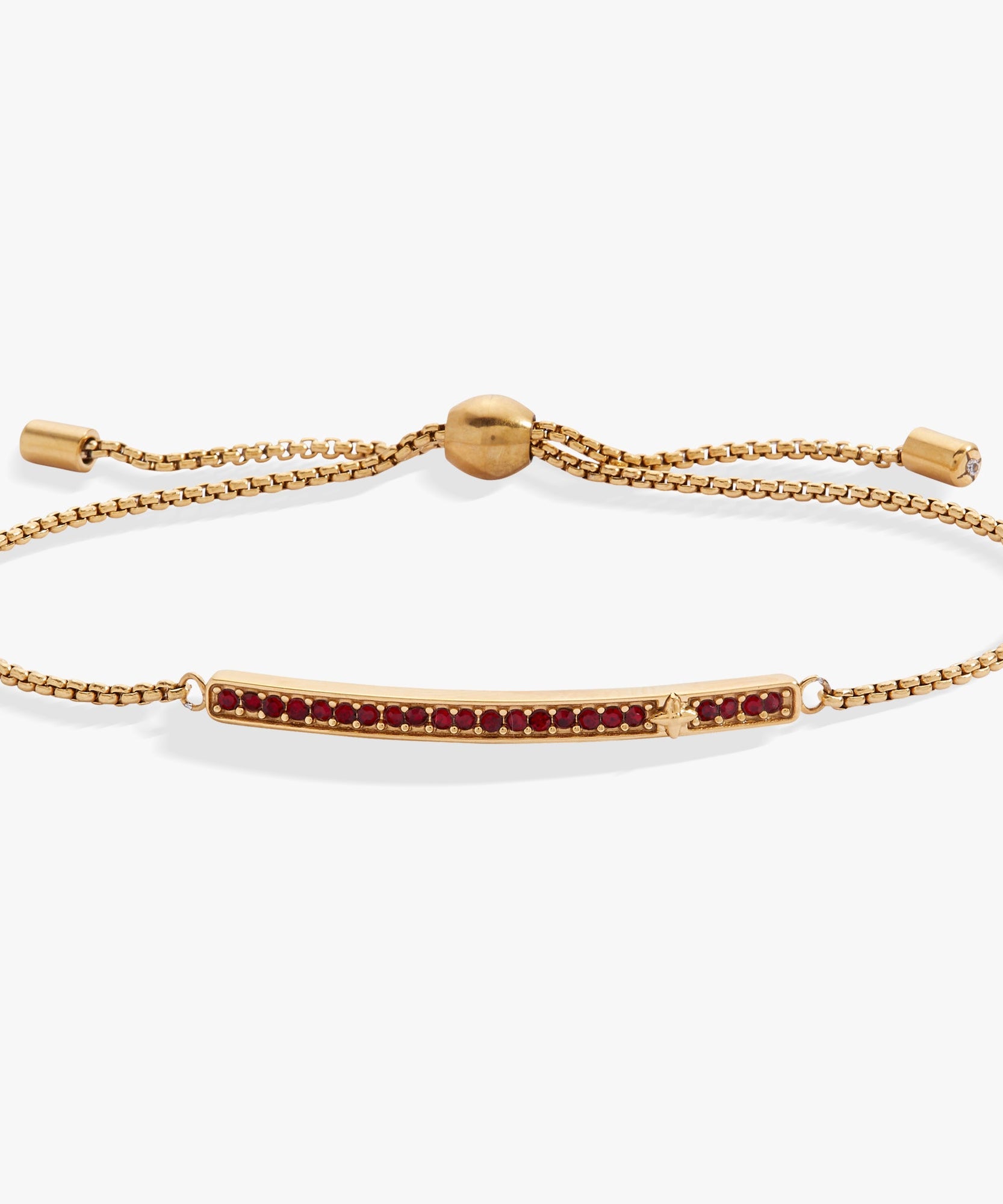 January Everyday Birthstone Pave Bolo Bracelet