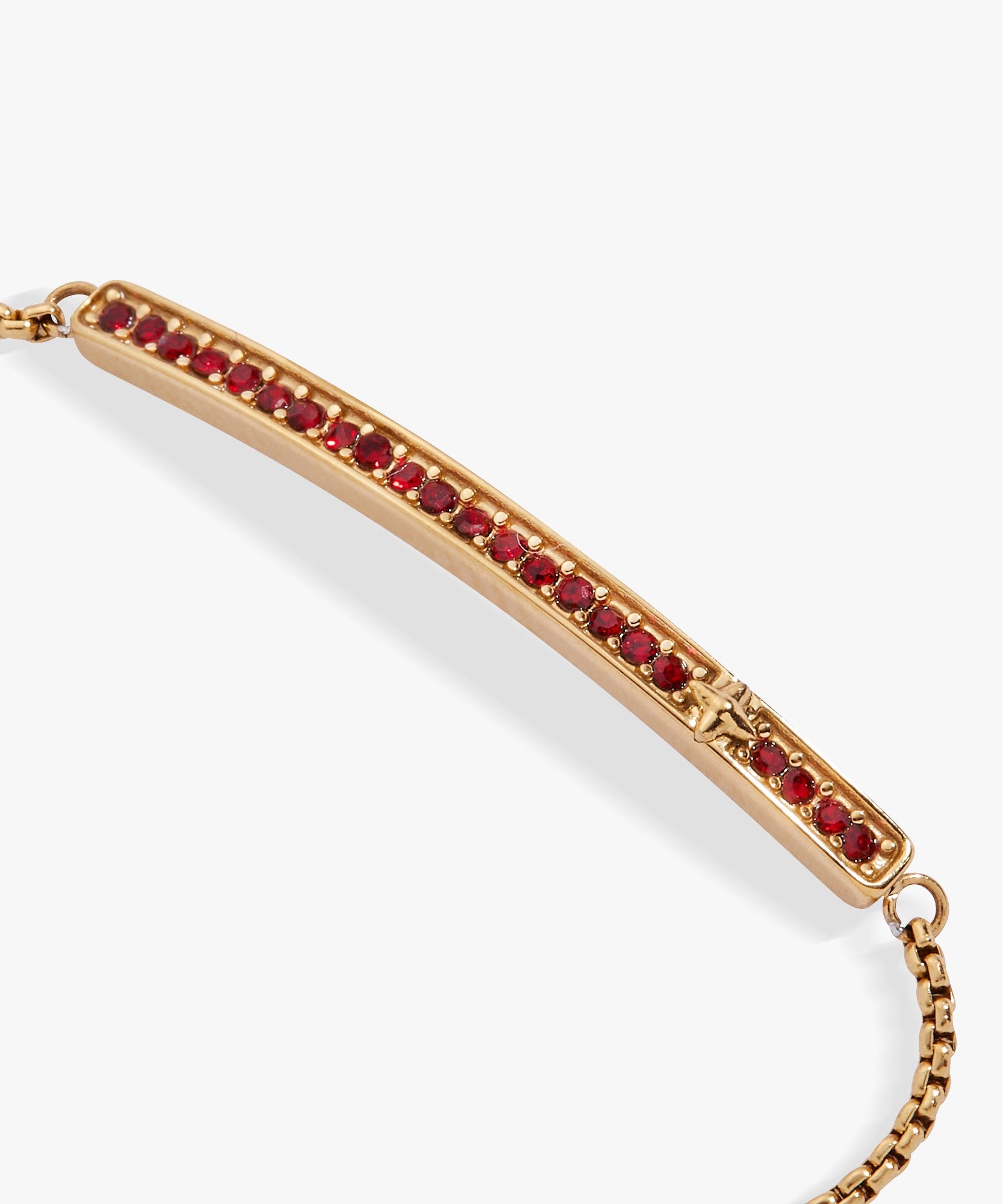 January Everyday Birthstone Pave Bolo Bracelet