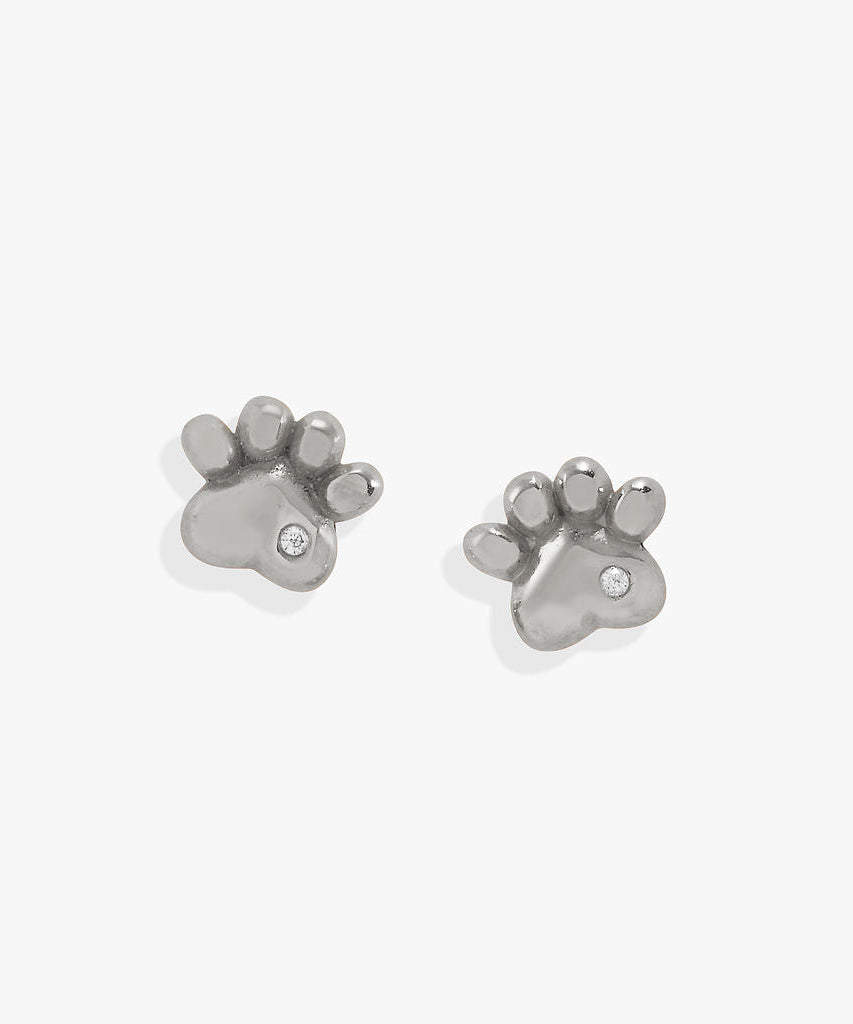 Paw Print Mini Stud Earrings