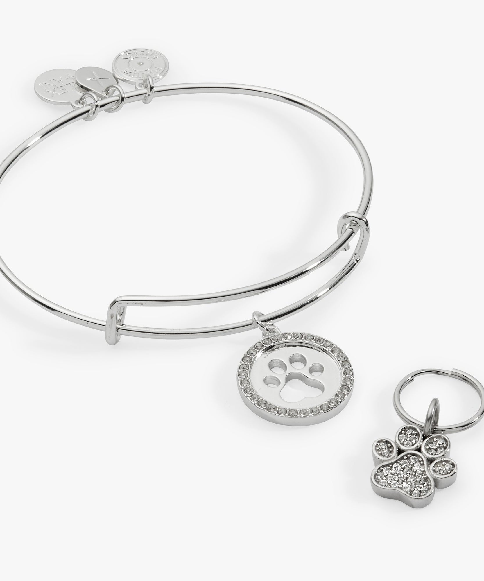 Paw Print Bangle & Pet Collar Charm Set of 2