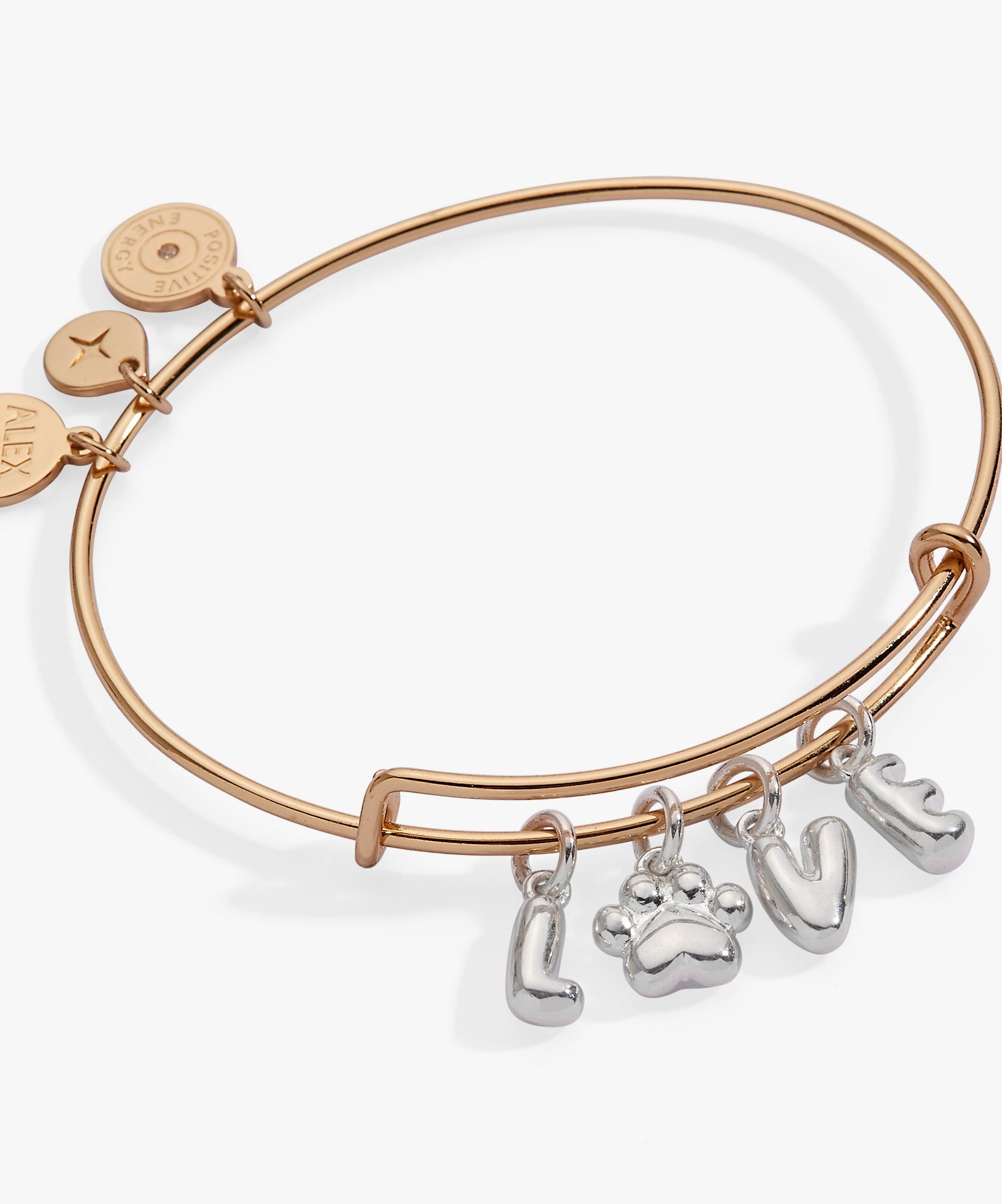 Pet Love Multi Charm Bangle