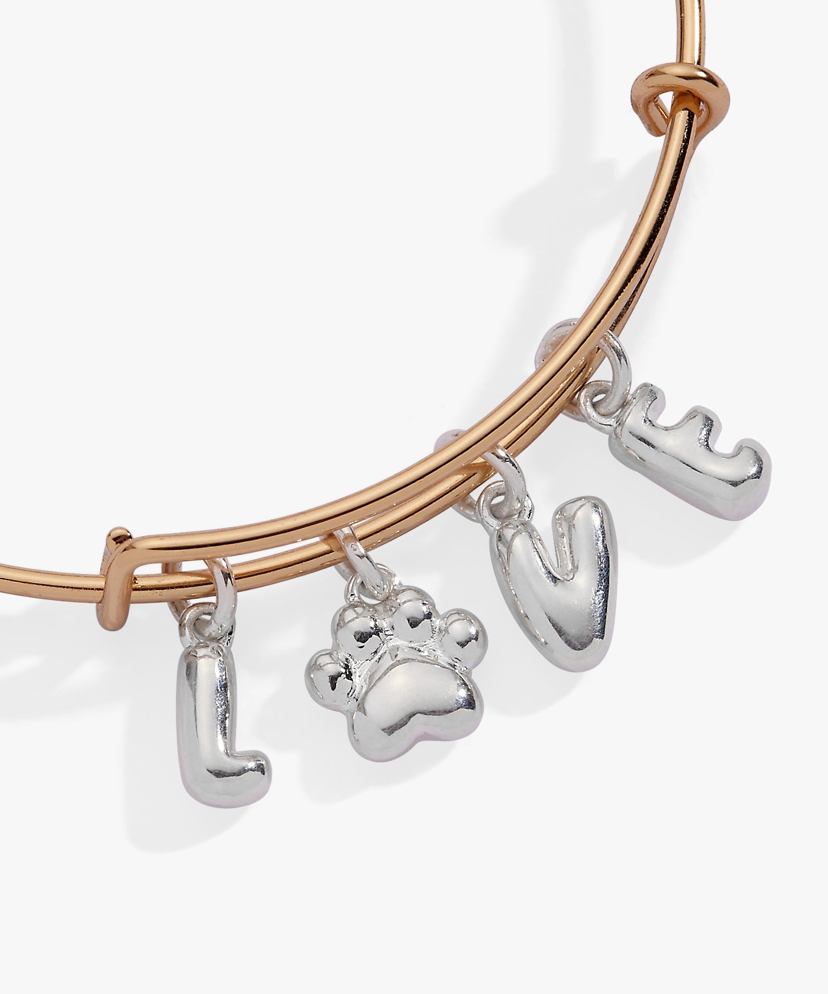 Pet Love Multi Charm Bangle