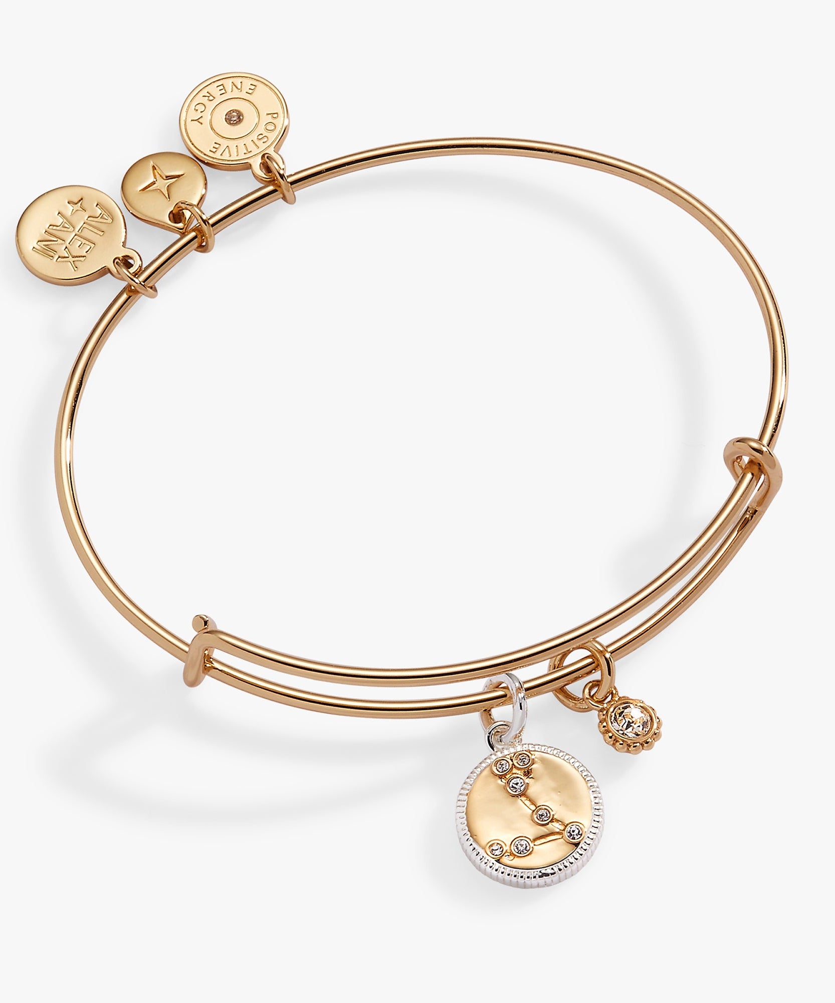 Pisces Zodiac Charm Bangle