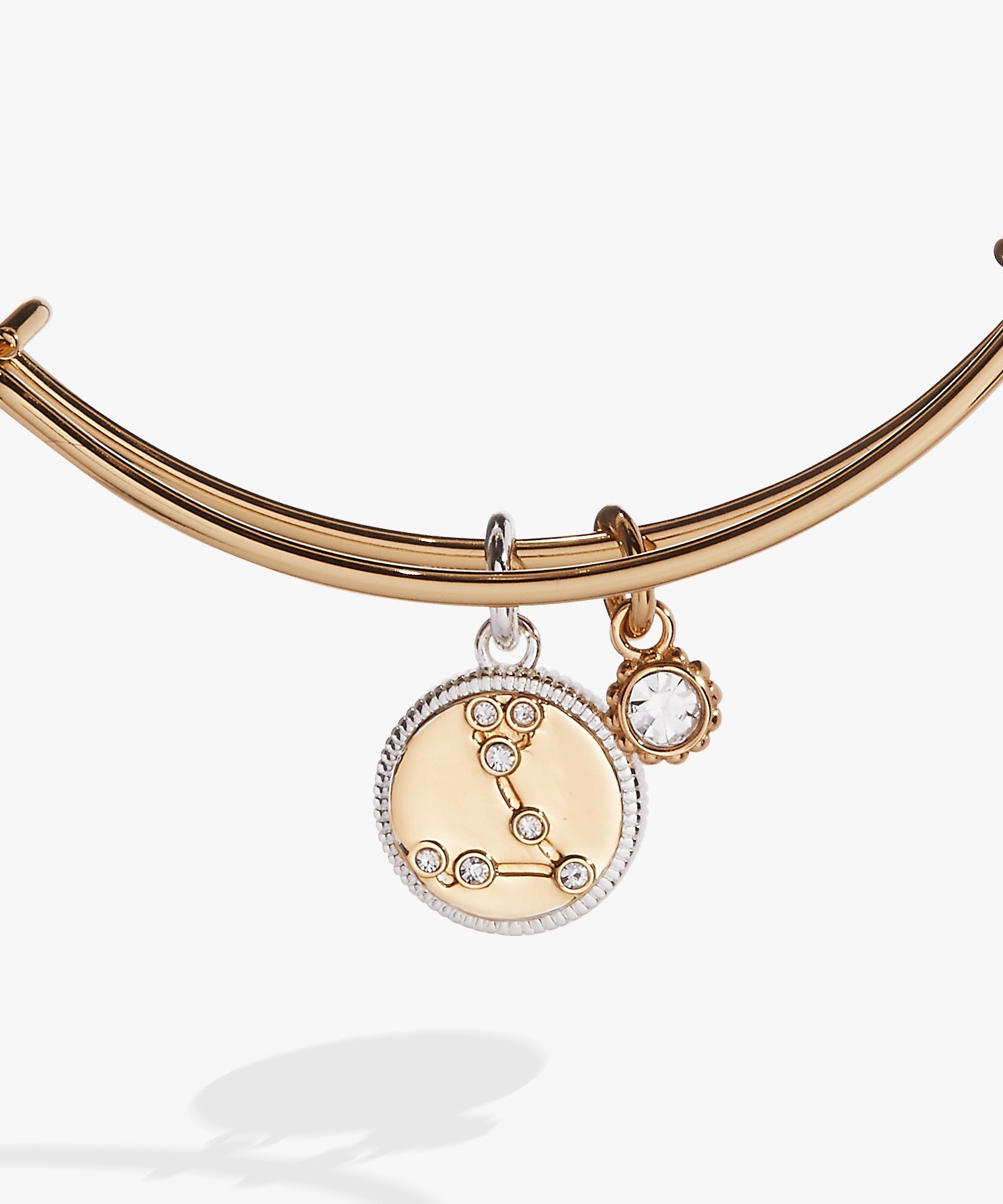 Pisces Zodiac Charm Bangle