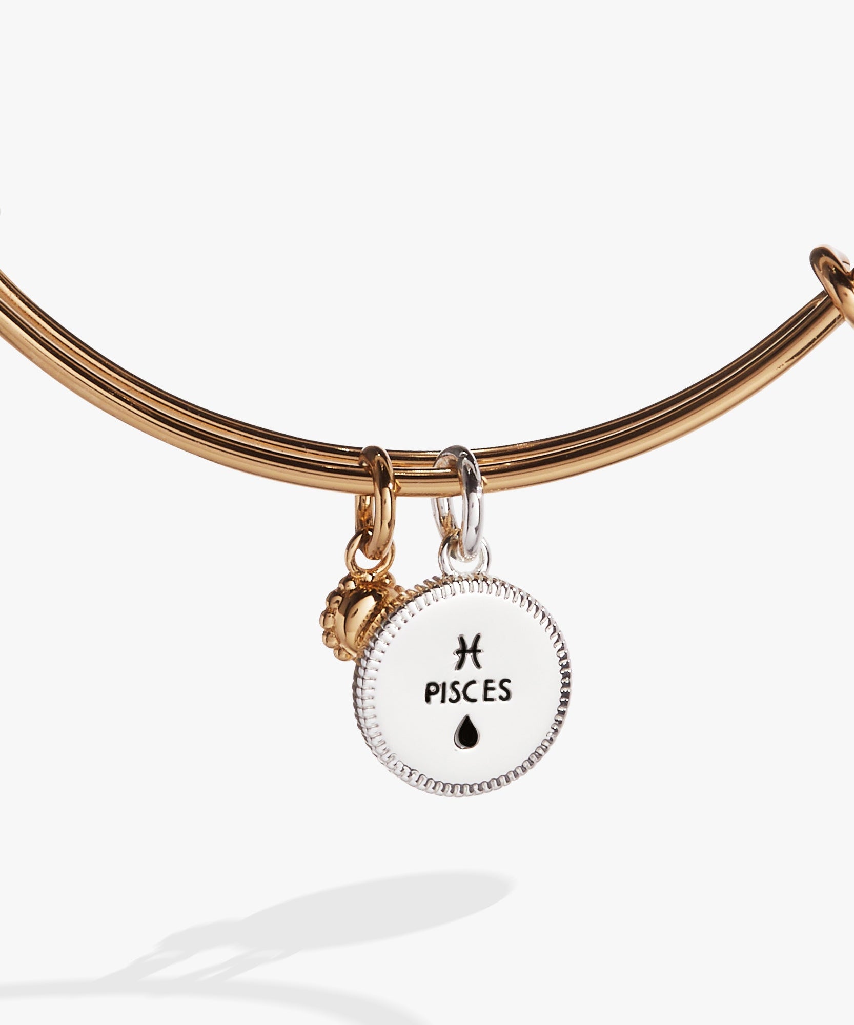 Pisces Zodiac Charm Bangle