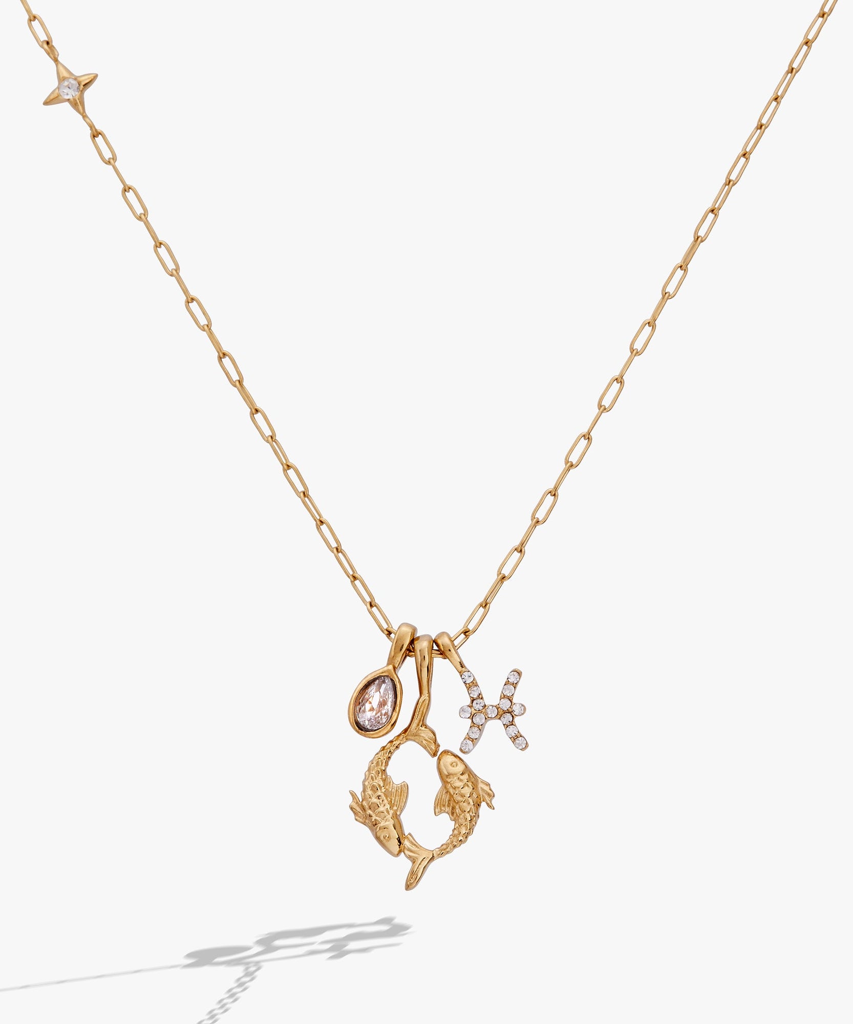 Pisces Zodiac Charm Cluster Necklace