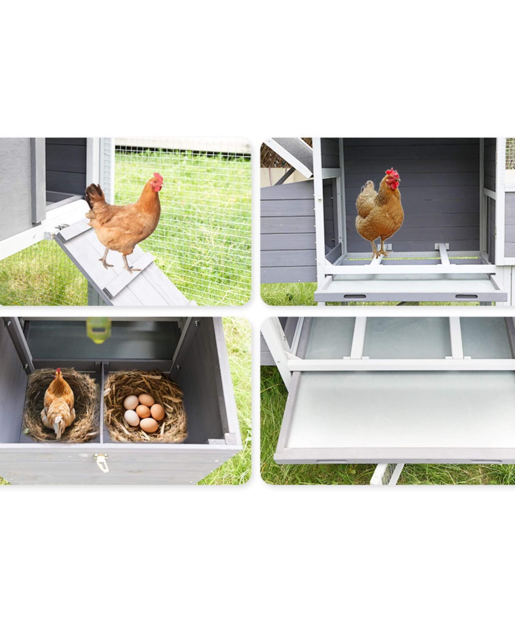 Large Heavy-Duty 113-Inch Outdoor Anti-UV Waterproof Wooden Chicken Coop Hen House (SAK32684)