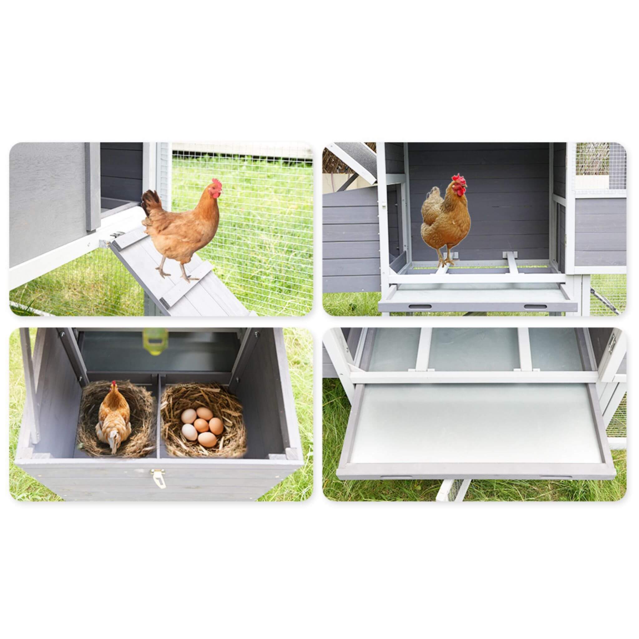Large Heavy-Duty 113-Inch Outdoor Anti-UV Waterproof Wooden Chicken Coop Hen House (SAK32684)