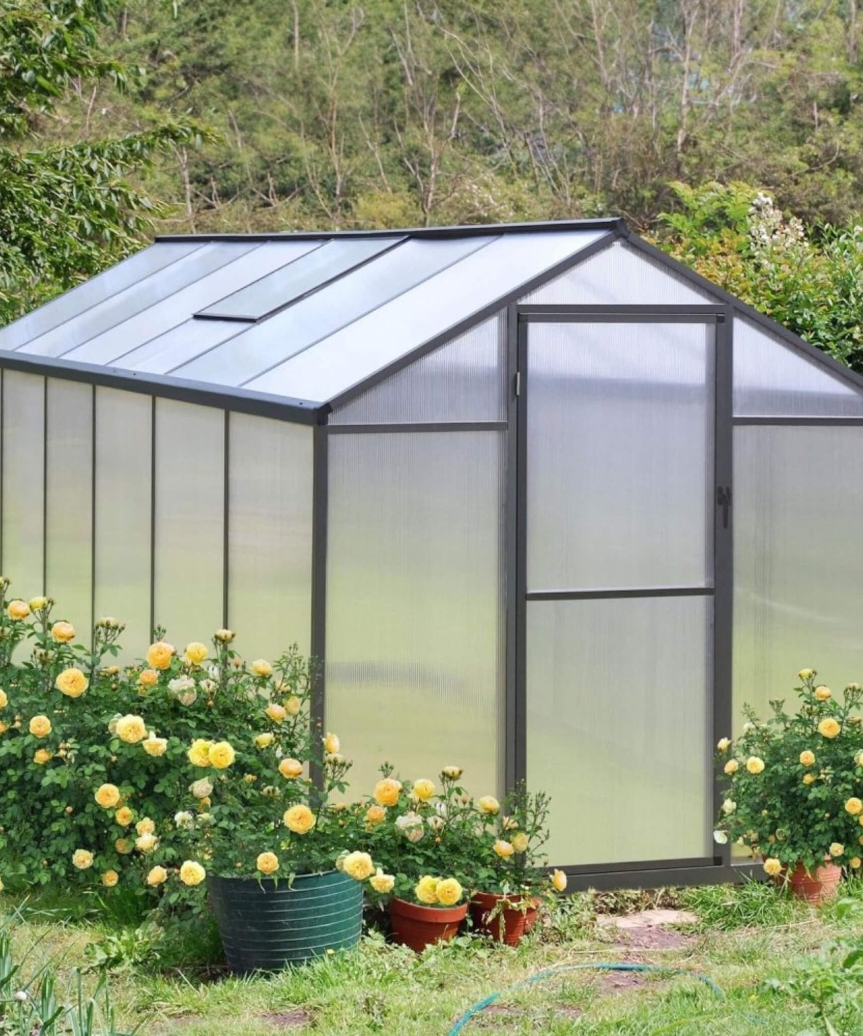 [06X12FT] Premium Polycarbonate Gray Walk-In Greenhouse Kit With Adjustable Vent And Lockable Door (SAK35264)