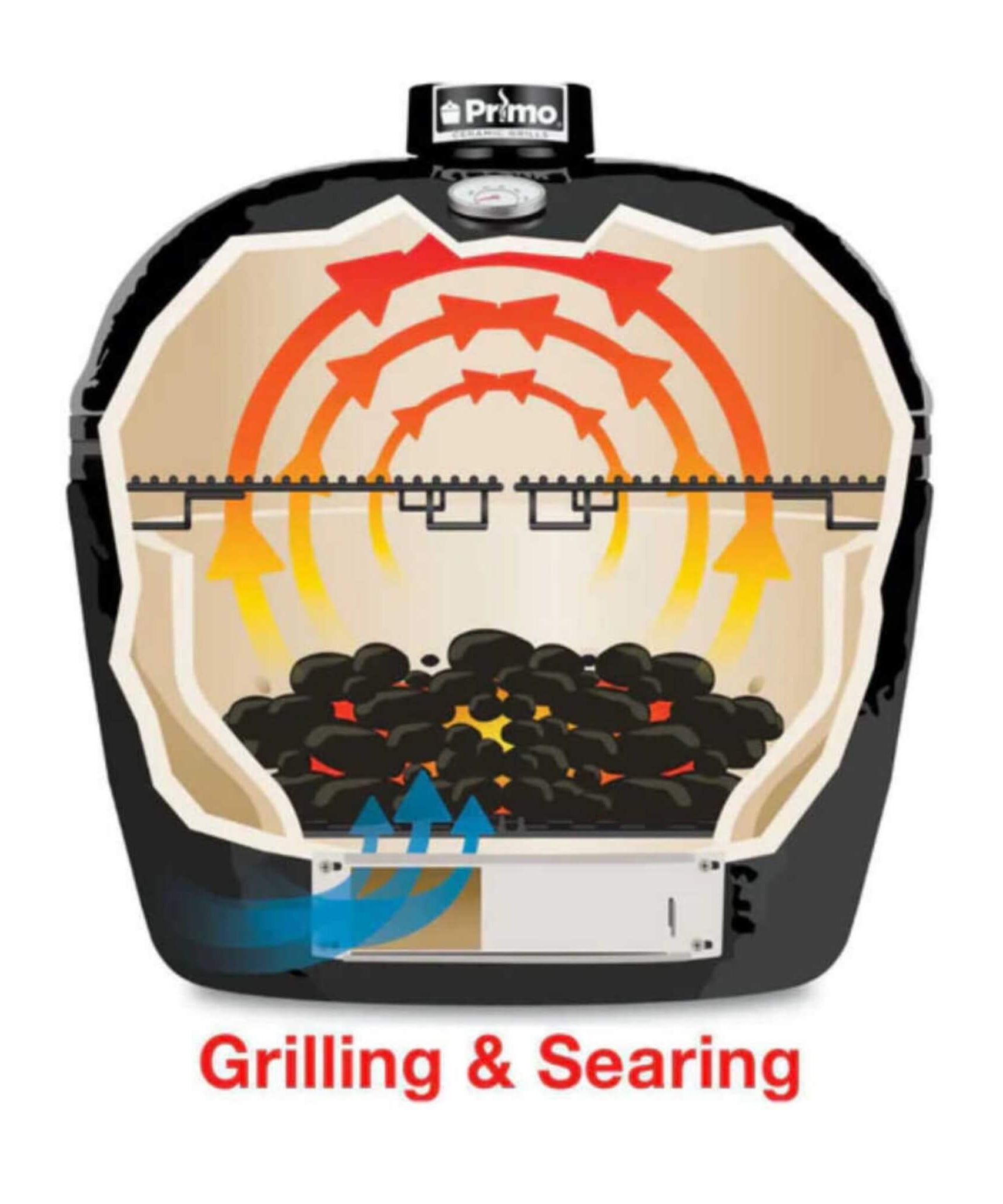 Primo Oval XXL All-In-One Ceramic Charcoal Grill [PGCXXLC] (SAK86742)