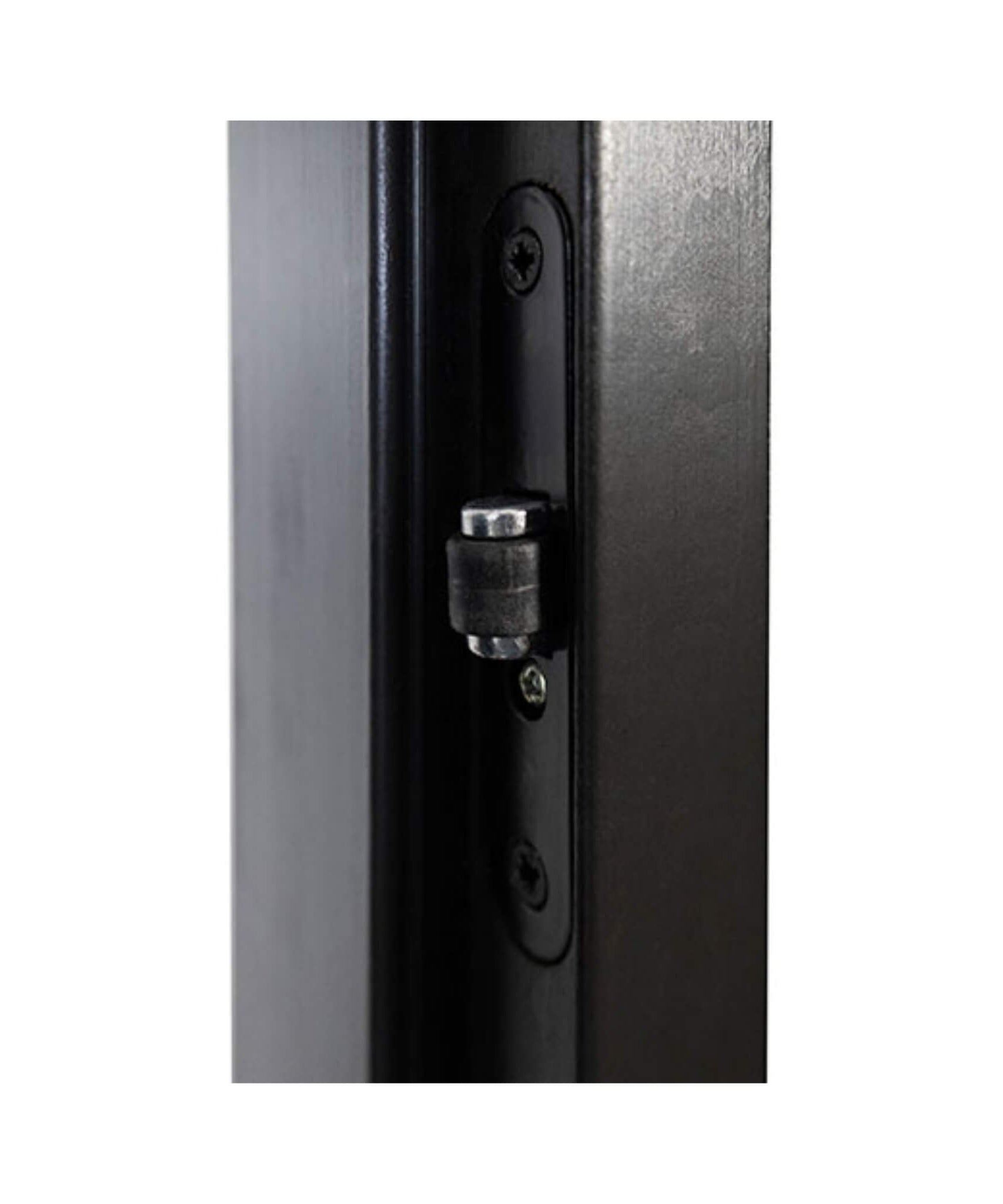 Prosaunas 24X81-Inch Black Alder Tinted Glass Sauna Door (SAK36827)