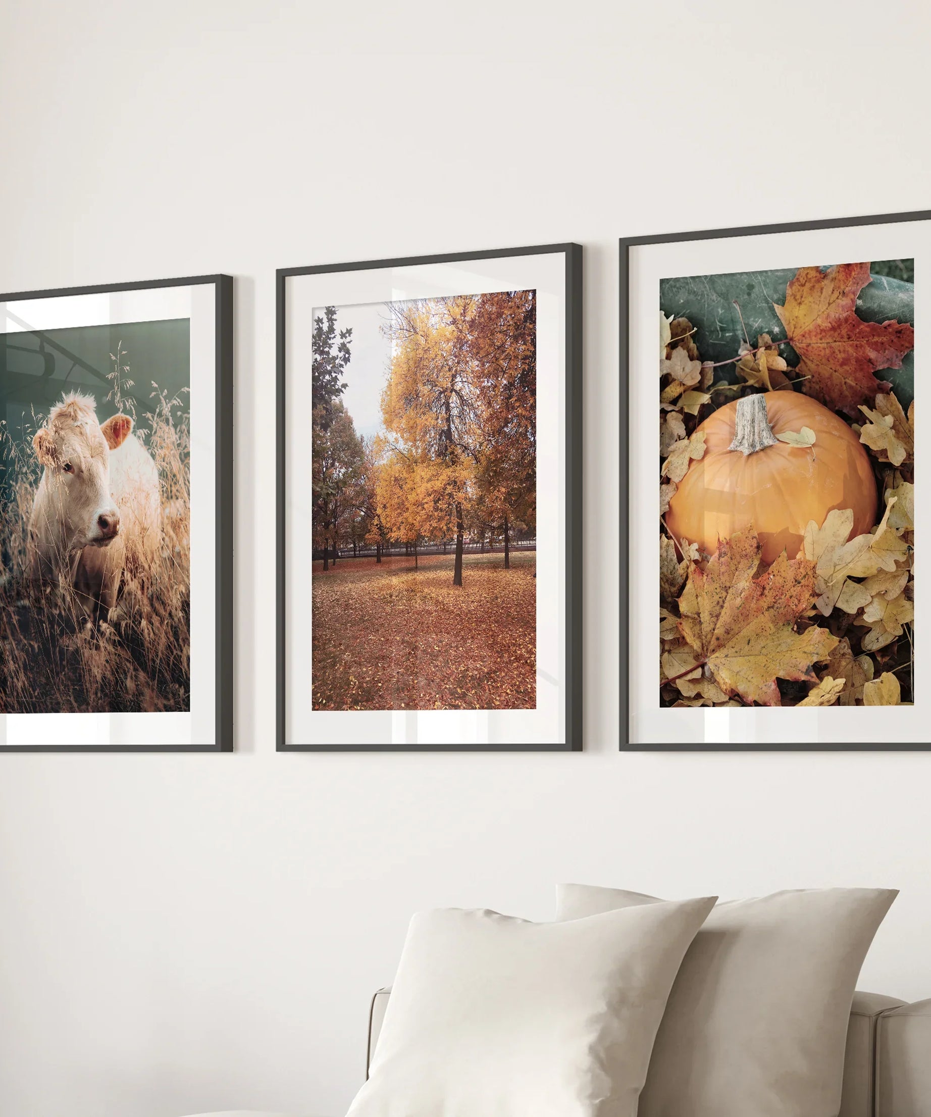 Autumn Farmhouse Prints. Cow, Fall Trees, Pumpkin Decor