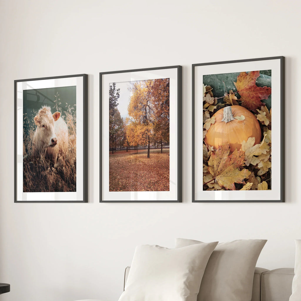 Autumn Farmhouse Prints. Cow, Fall Trees, Pumpkin Decor