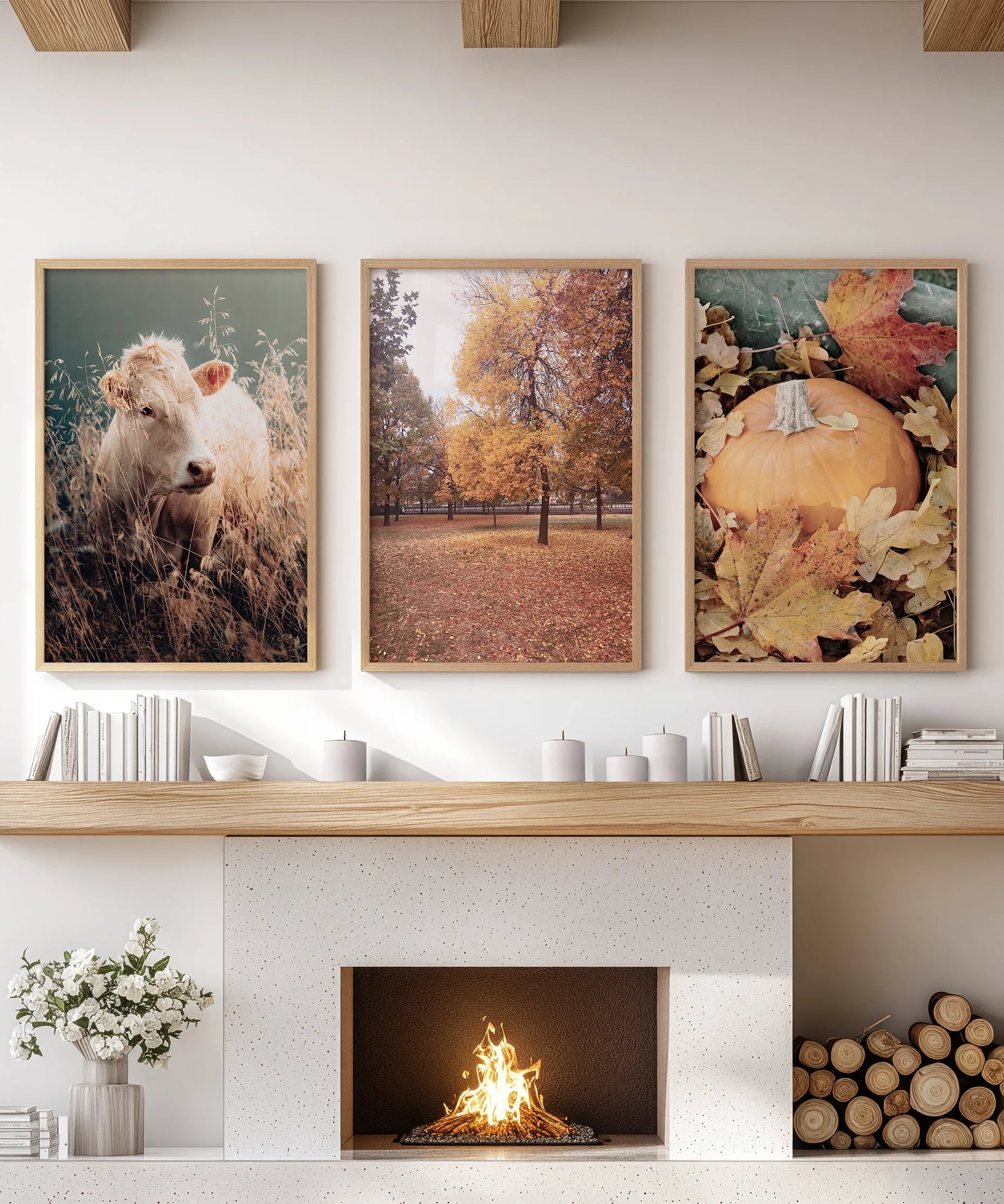 Autumn Farmhouse Prints. Cow, Fall Trees, Pumpkin Decor