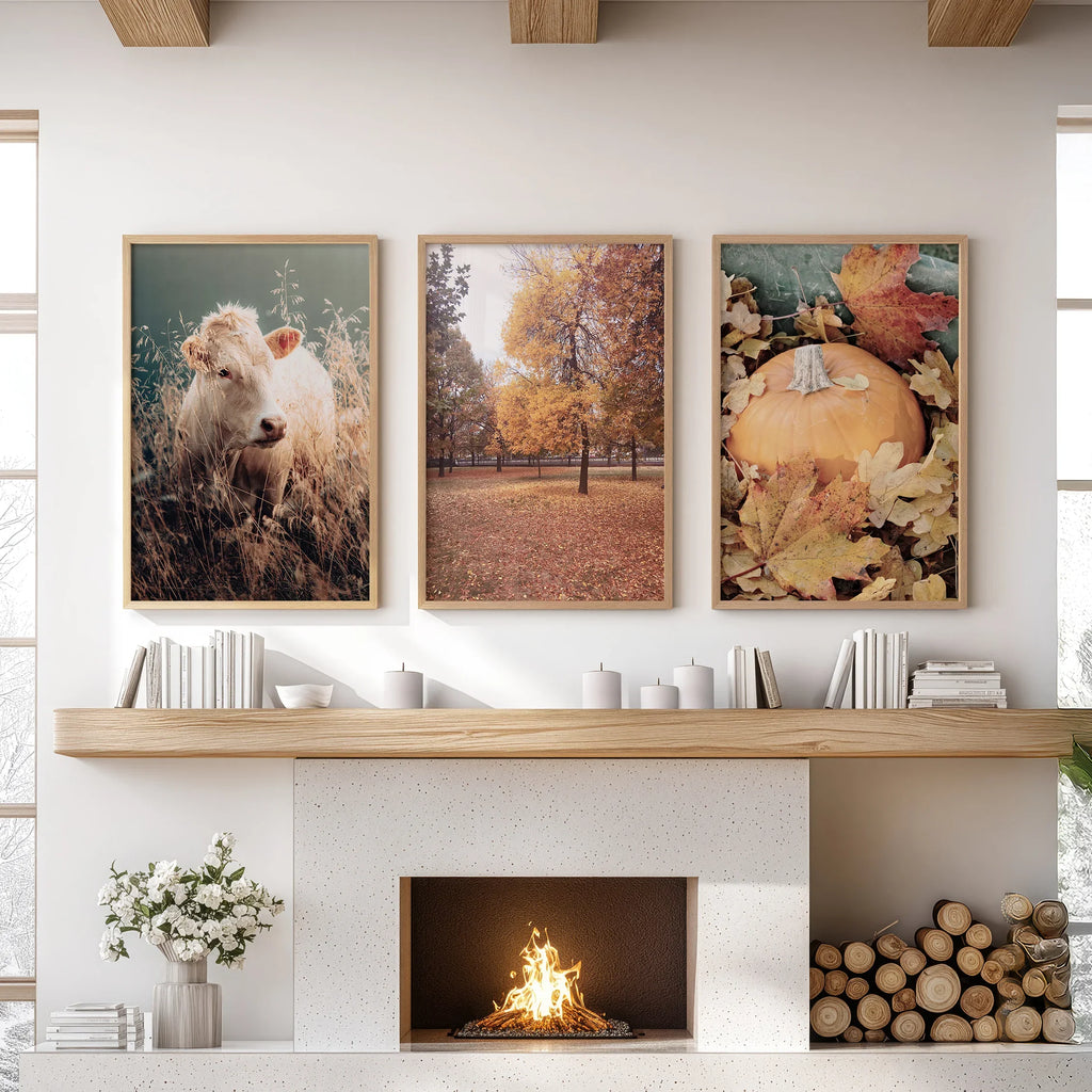 Autumn Farmhouse Prints. Cow, Fall Trees, Pumpkin Decor