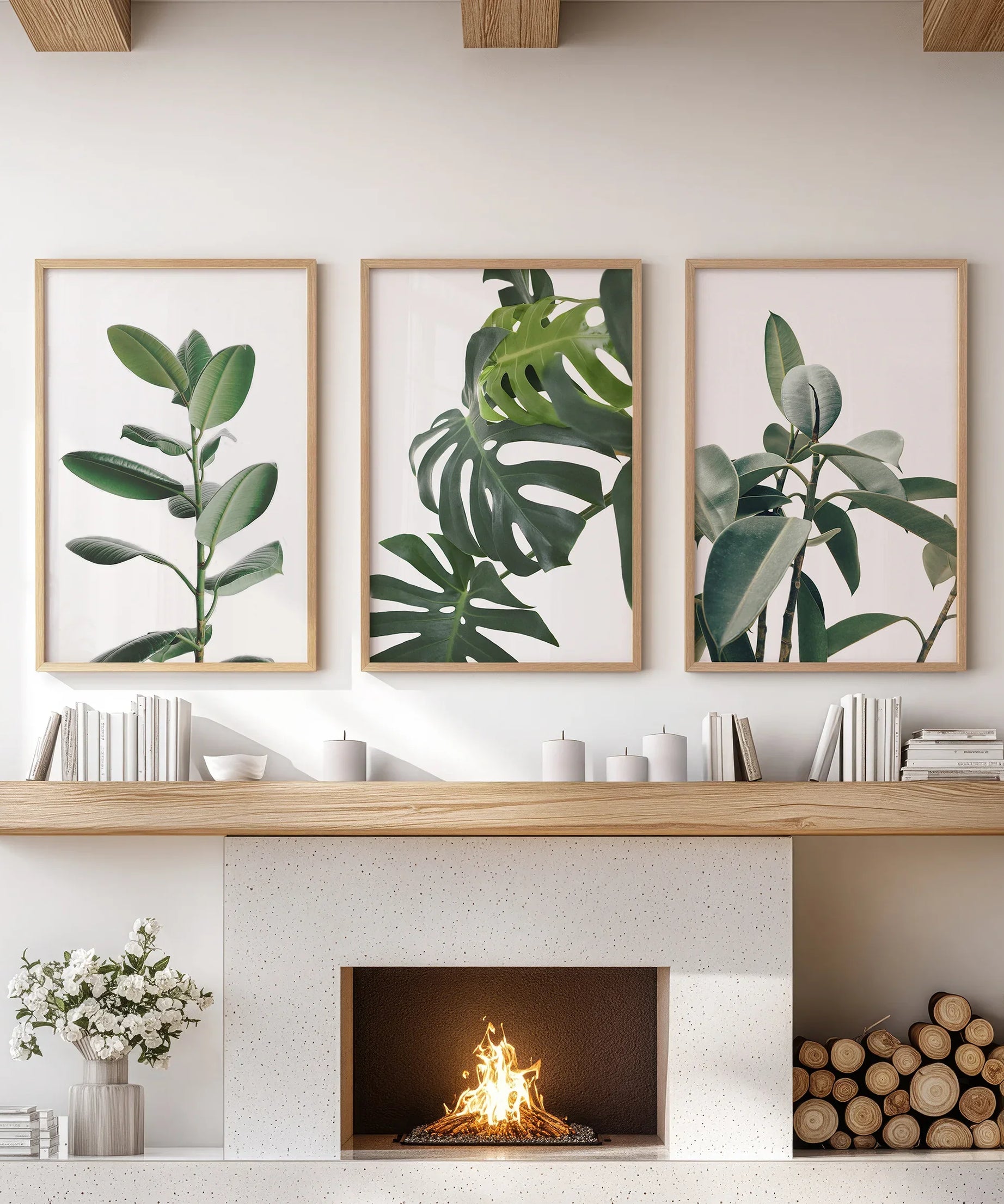 Botanical Set of 3  Prints. Tropical Monstera, Rubber Plant