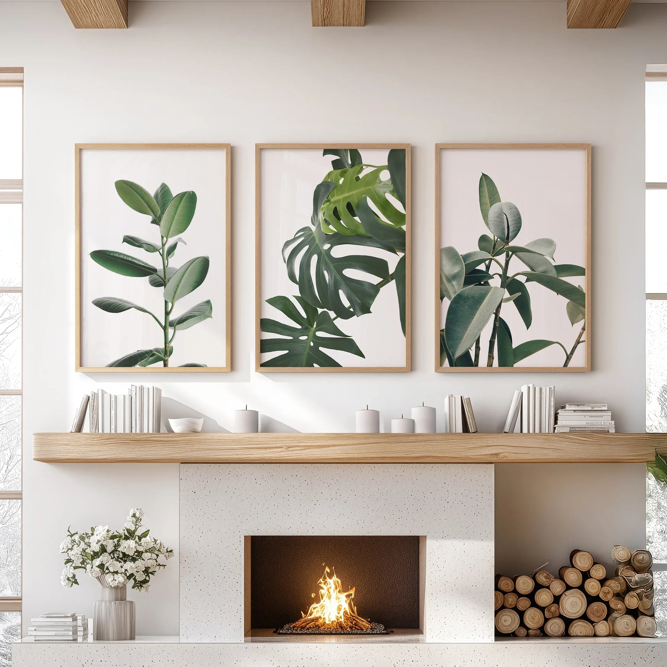 Botanical Set of 3  Prints. Tropical Monstera, Rubber Plant