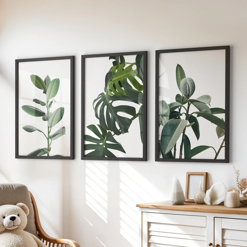 Botanical Set of 3  Prints. Tropical Monstera, Rubber Plant