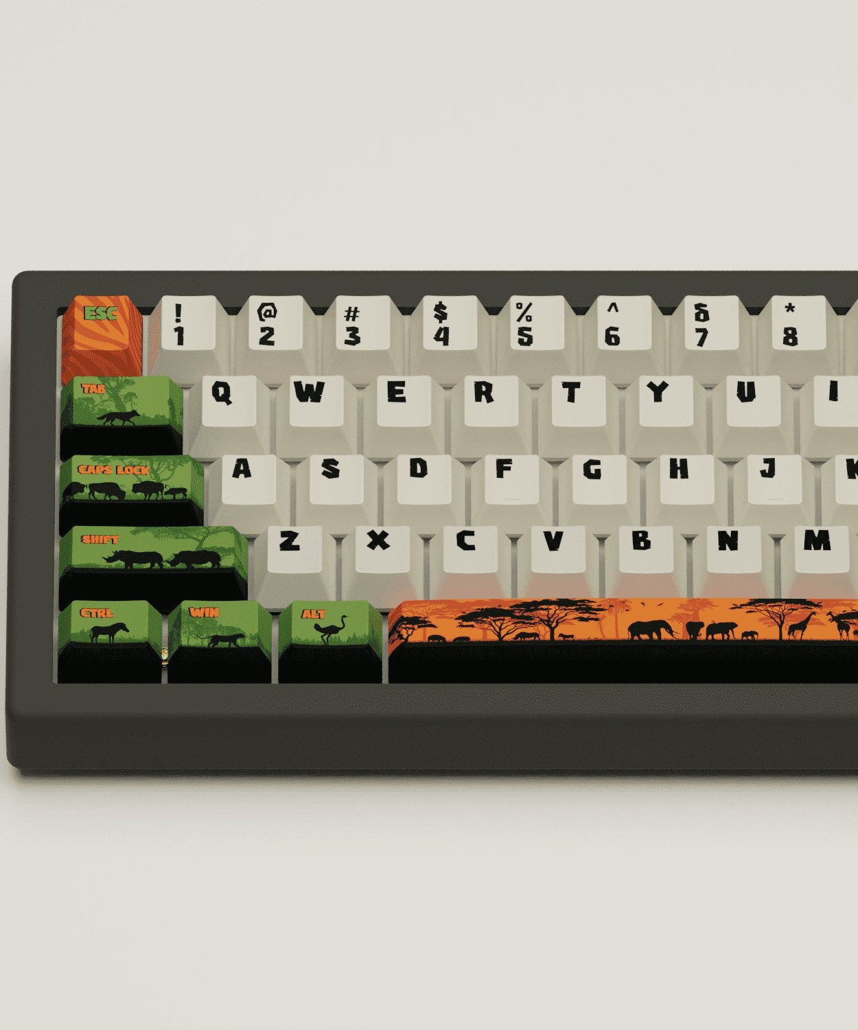 Safari Design Keycaps and Mechanical Keyboard