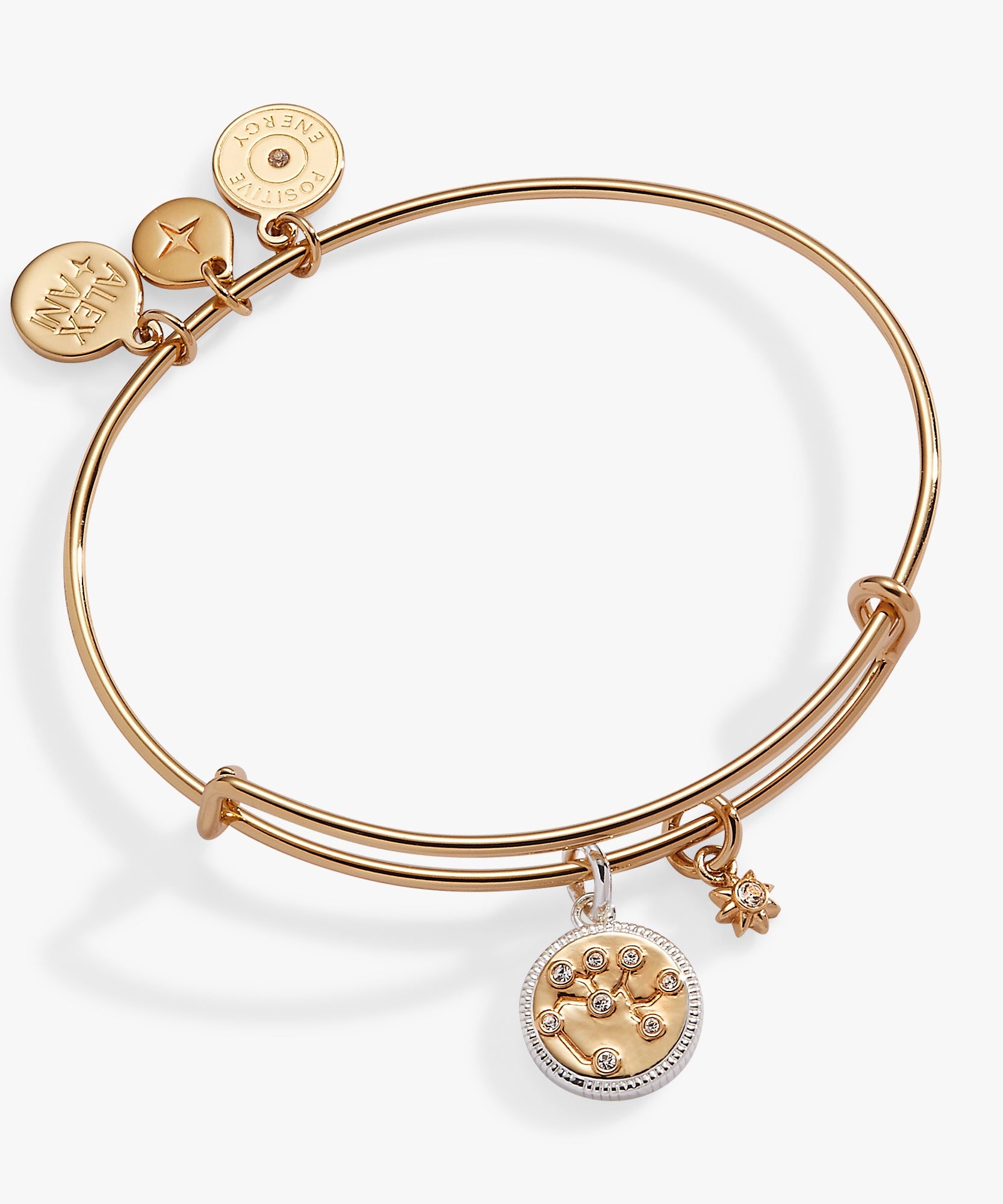 Sagittarius Zodiac Charm Bangle