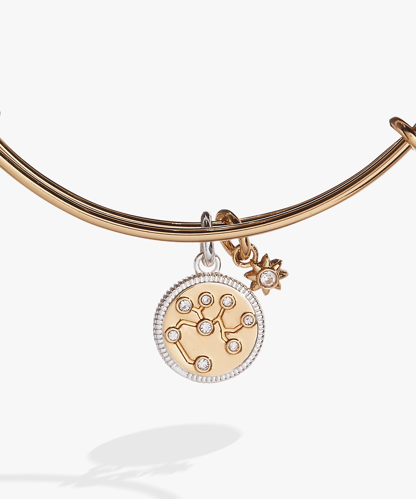 Sagittarius Zodiac Charm Bangle