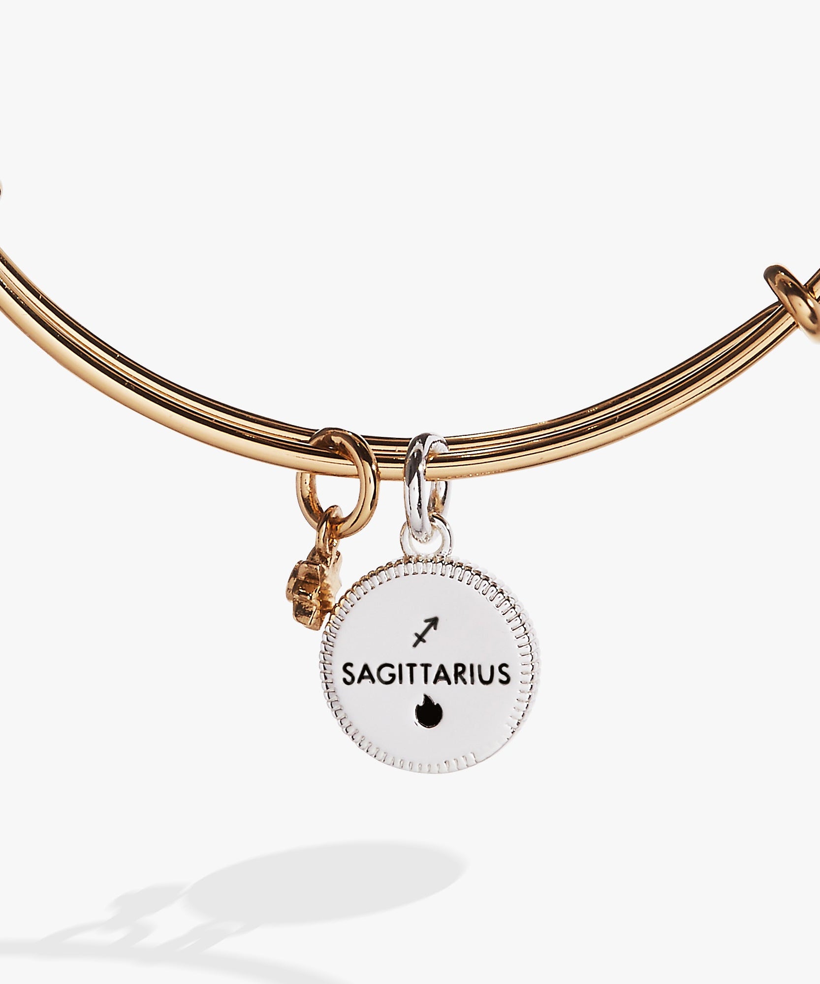 Sagittarius Zodiac Charm Bangle