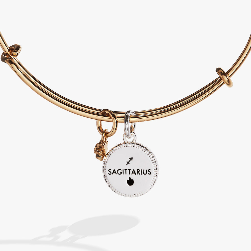 Sagittarius Zodiac Charm Bangle