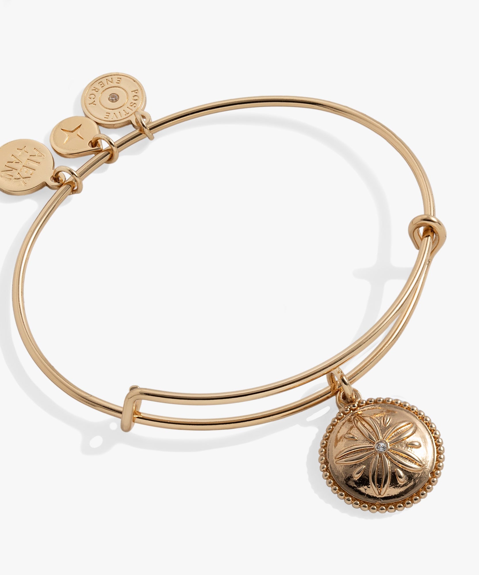 Sand Dollar Charm Bangle