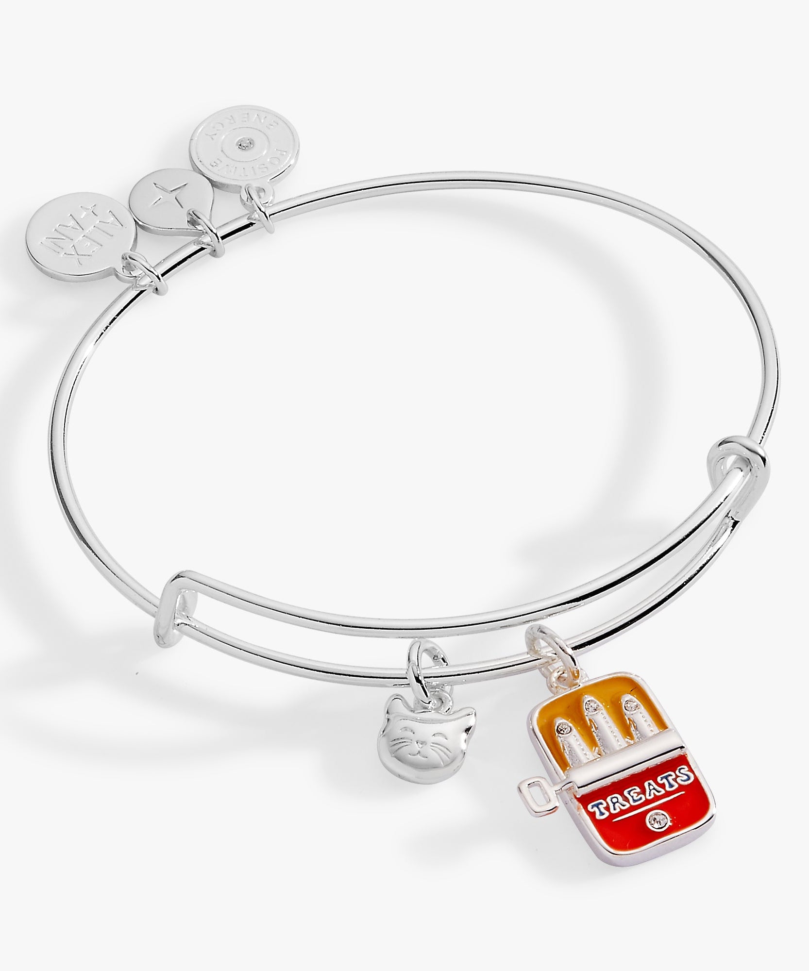 Cat & Sardine Tin Duo Charm Bangle