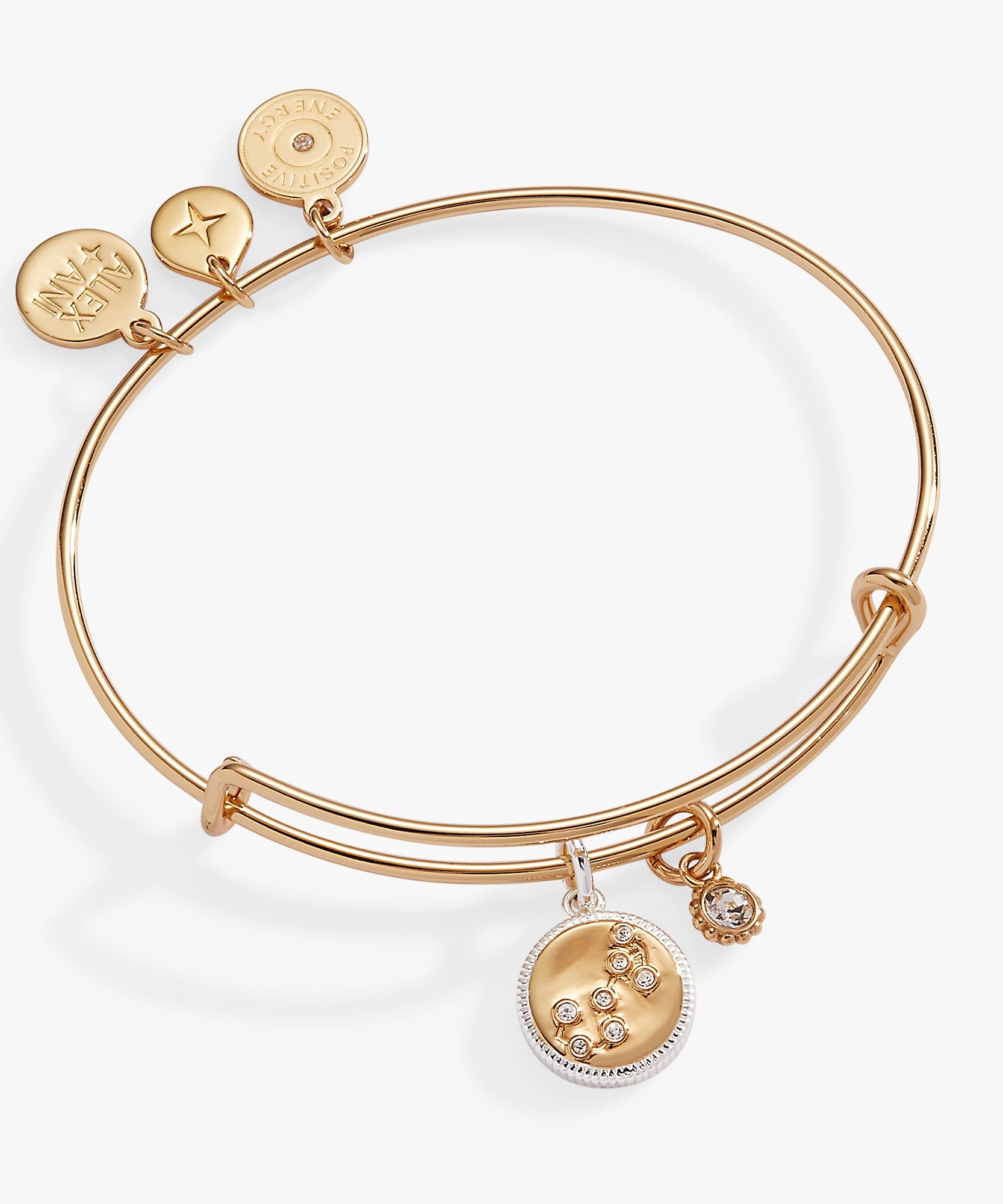 Scorpio Zodiac Charm Bangle
