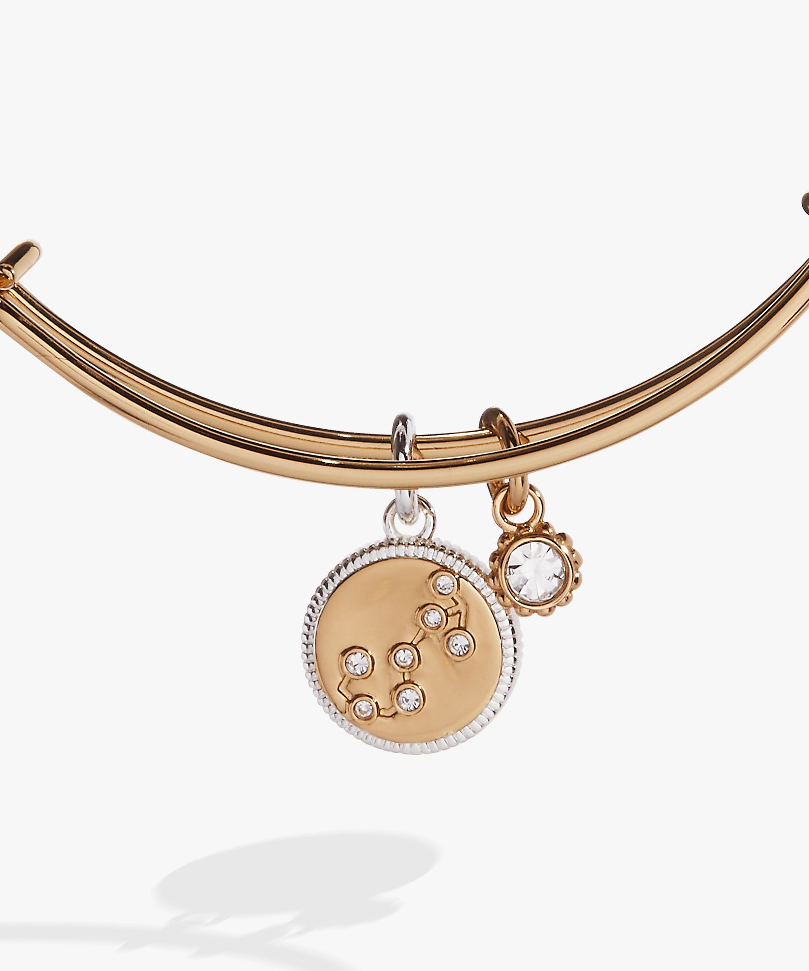 Scorpio Zodiac Charm Bangle