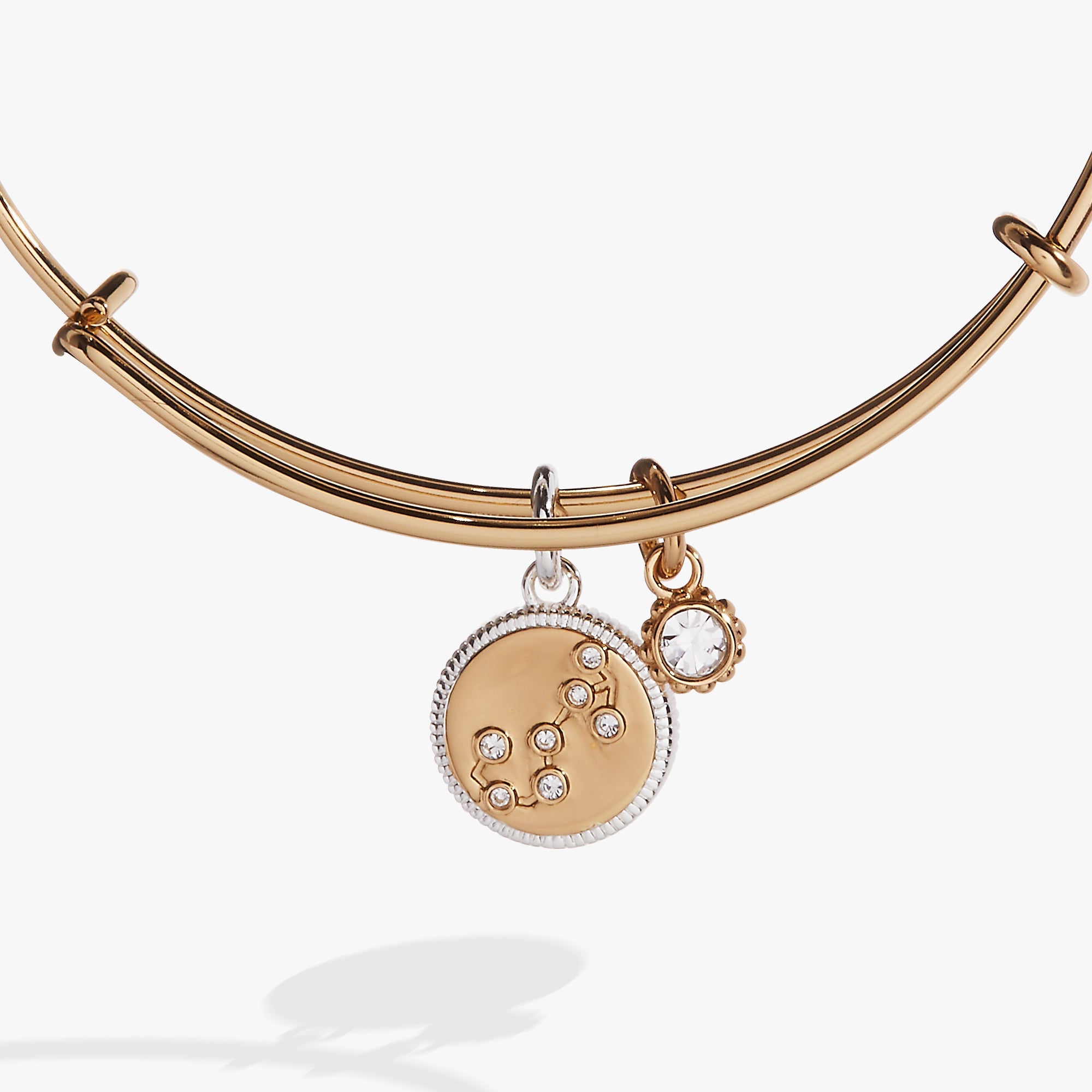 Scorpio Zodiac Charm Bangle