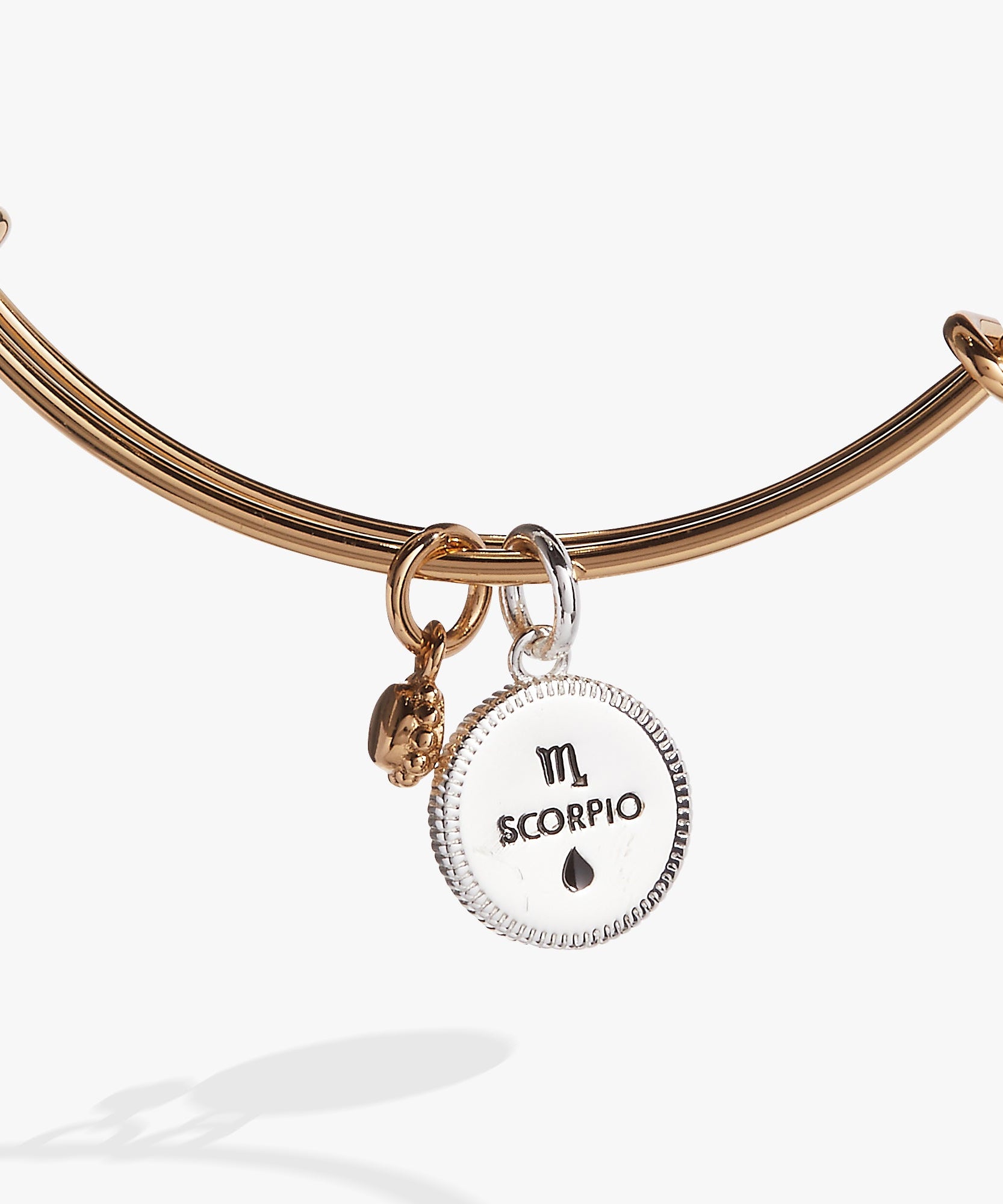 Scorpio Zodiac Charm Bangle
