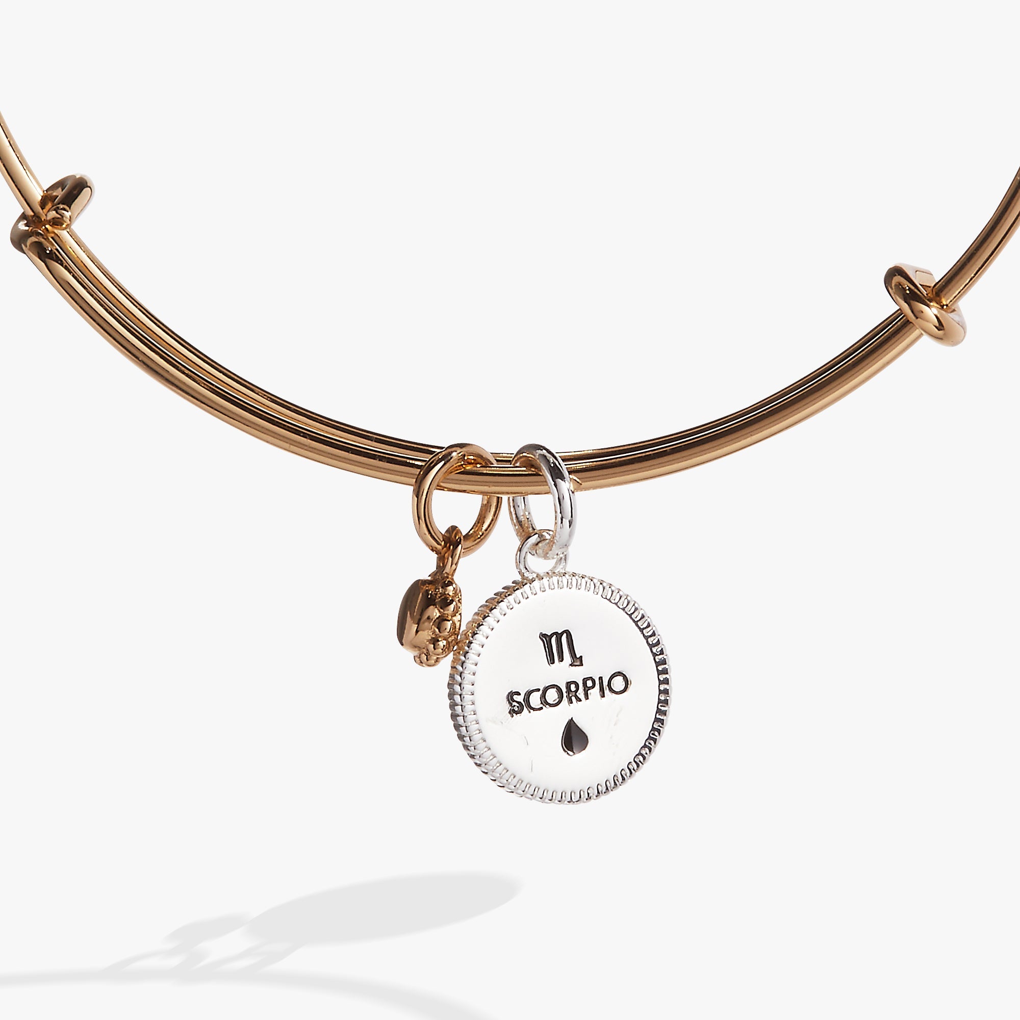 Scorpio Zodiac Charm Bangle