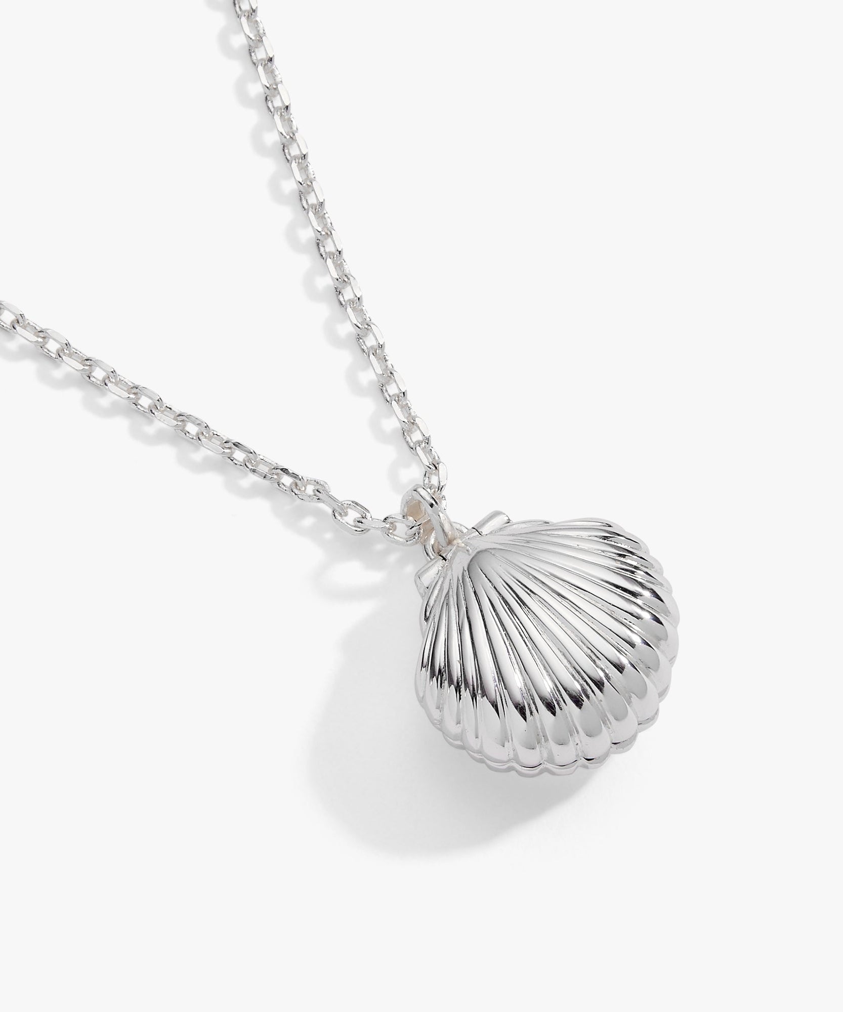 Salt + Sea 'Seashells Are Love Letters In The Sand' Seashell Locket Pendant