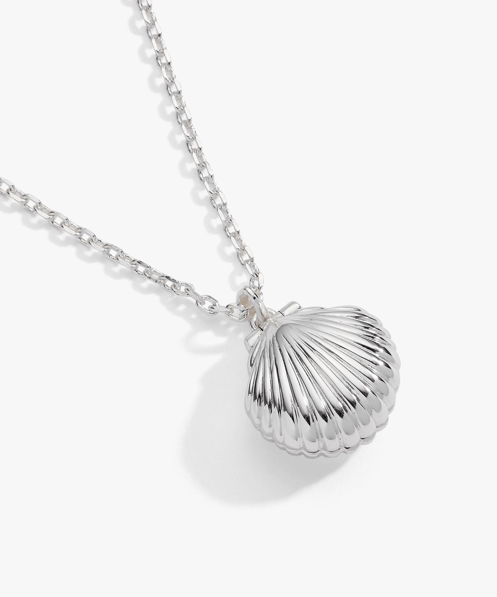 Salt + Sea 'Seashells Are Love Letters In The Sand' Seashell Locket Pendant